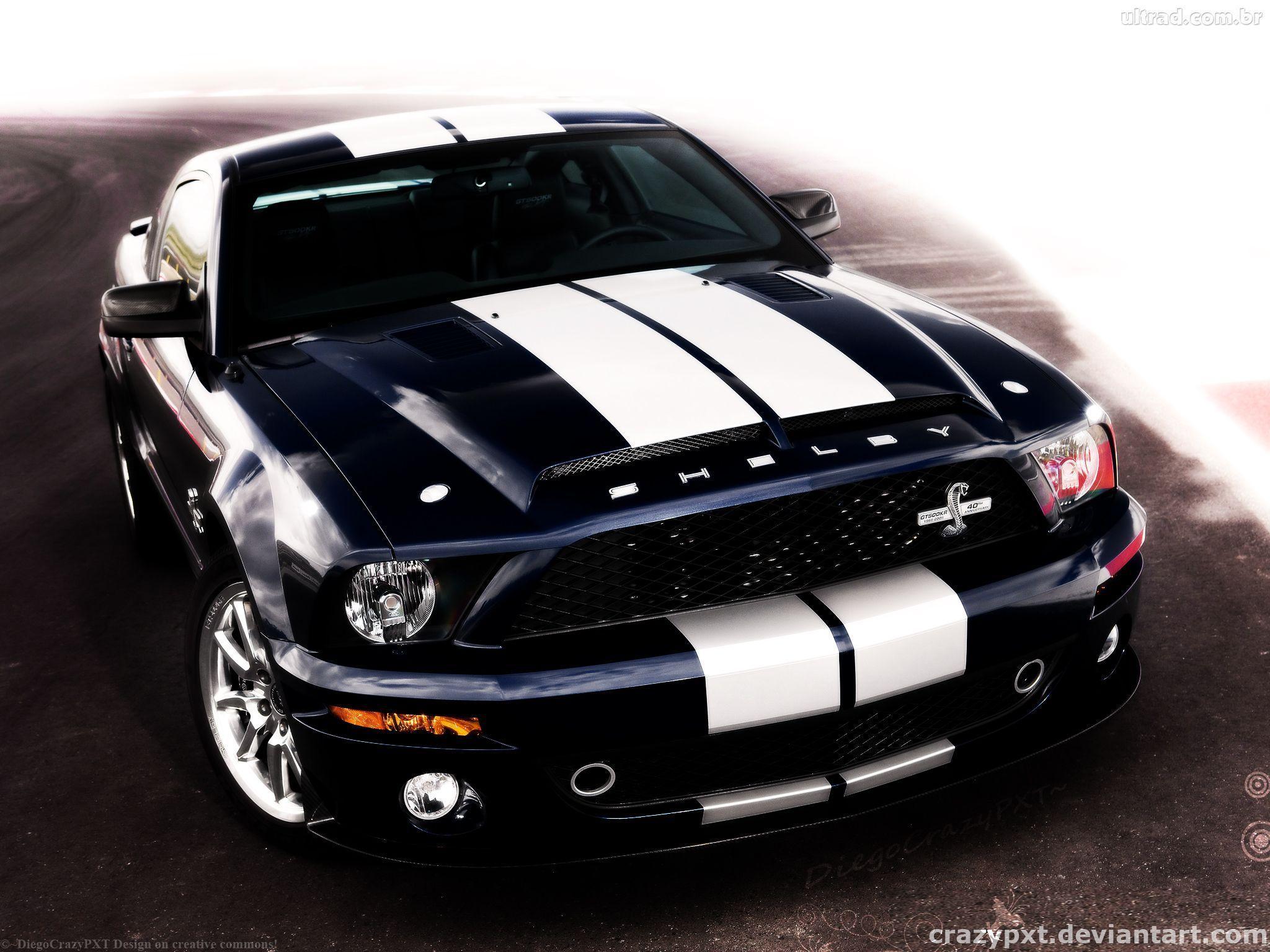 Animals For > Mustang Shelby Gt500 Wallpaper