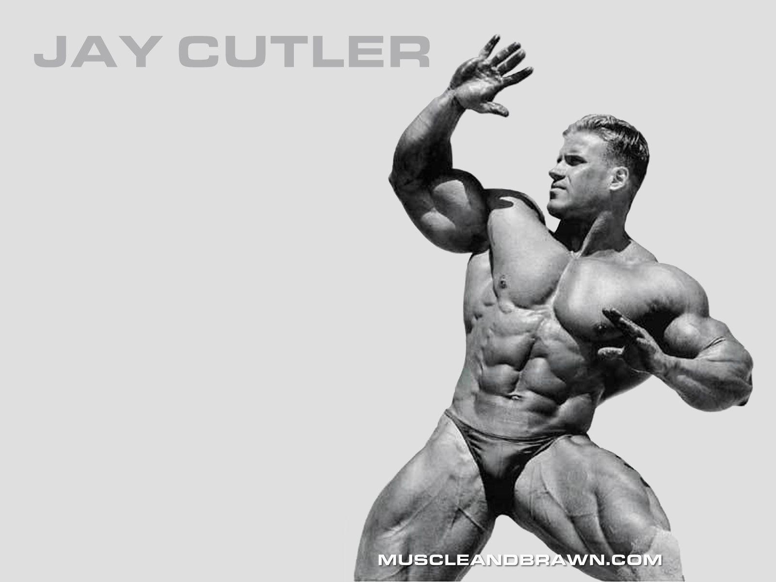 Hd Wallpaper Jay Cutler Net Worth 290 X 195 11 Kb Jpeg. HD
