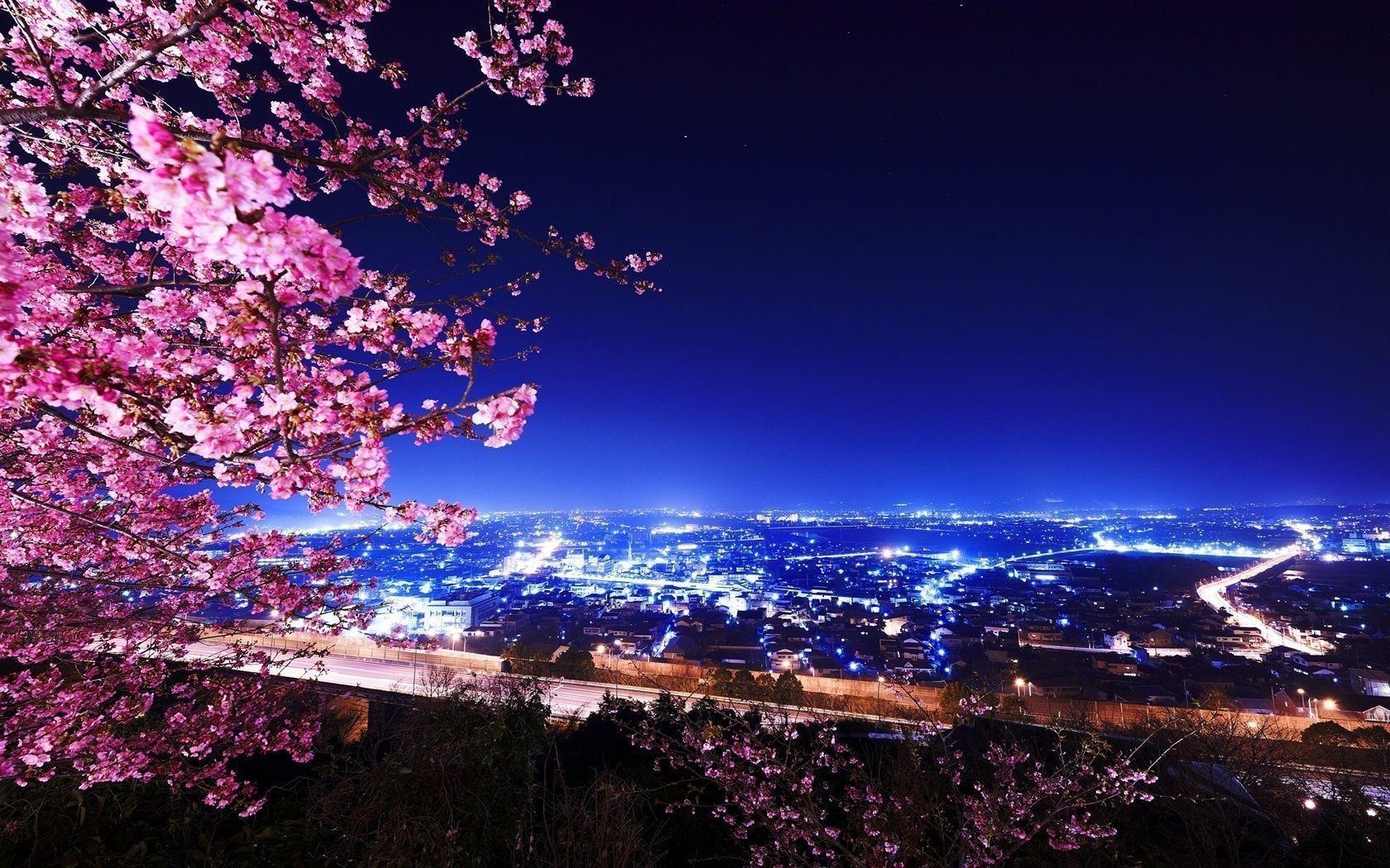 sakura asia city night east desktop HD - Image And Wallpaper