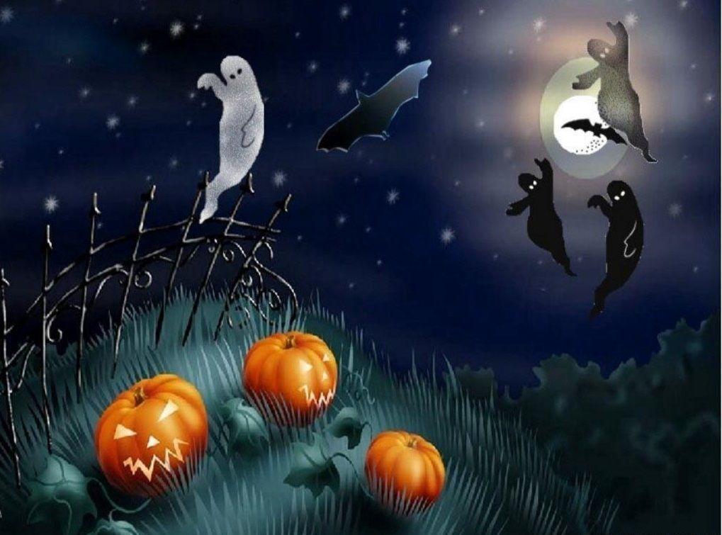 Halloween Halloween HD Wallpaper and Background Image Free