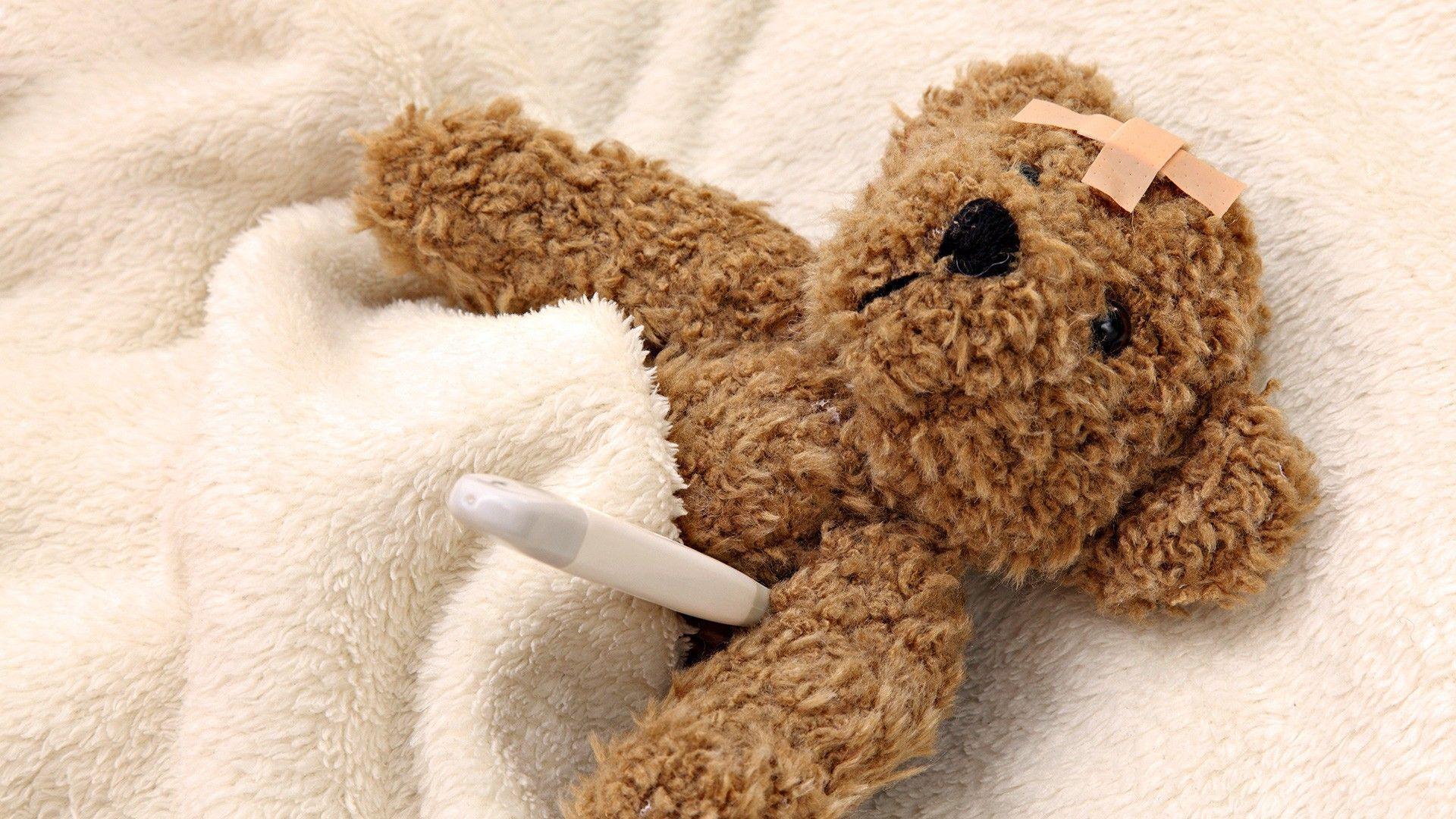 Stuffed Animals Teddy Bears Fresh New HD Wallpaper