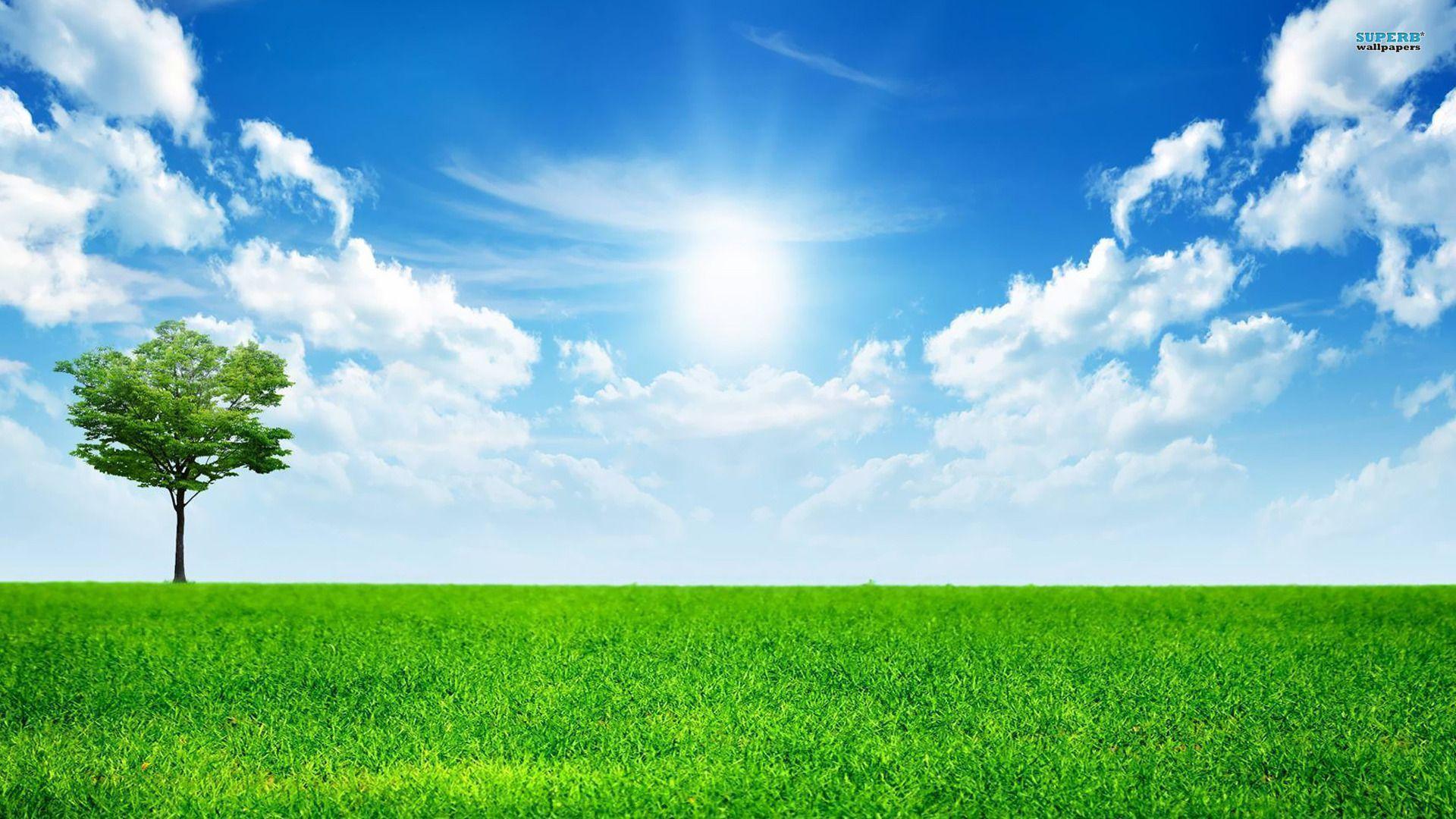 Sunny blue sky wallpapers