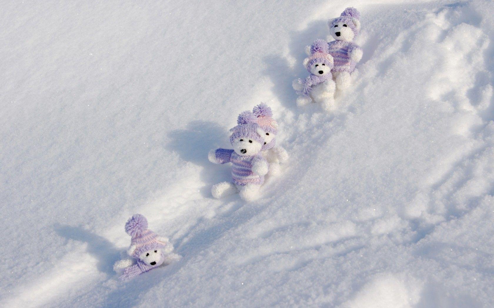 Fascinating Teddy Bears Sliding On Snow Wide Wallpaper 1680x1050PX