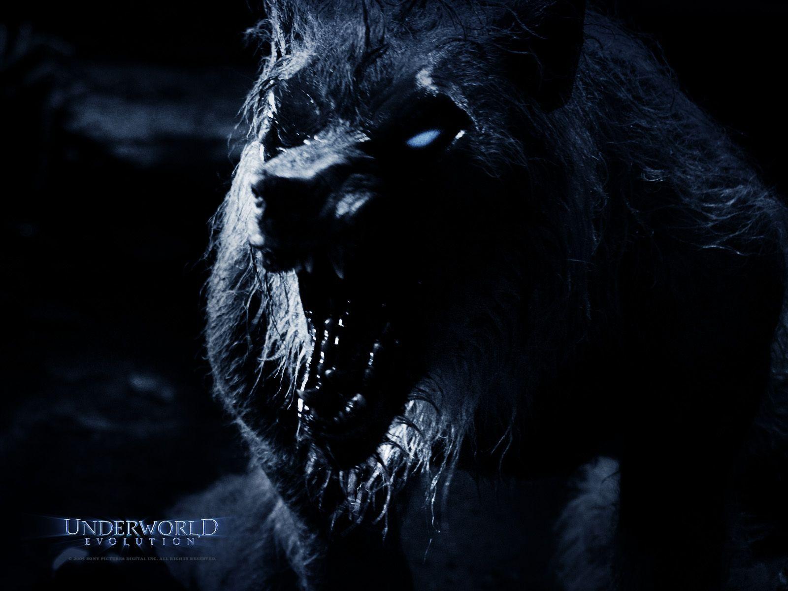 Underworld Lycan Wallpaper