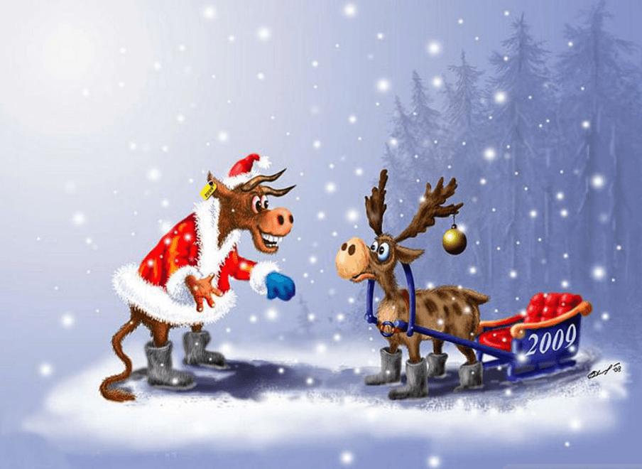 funny christmas backgrounds for zoom