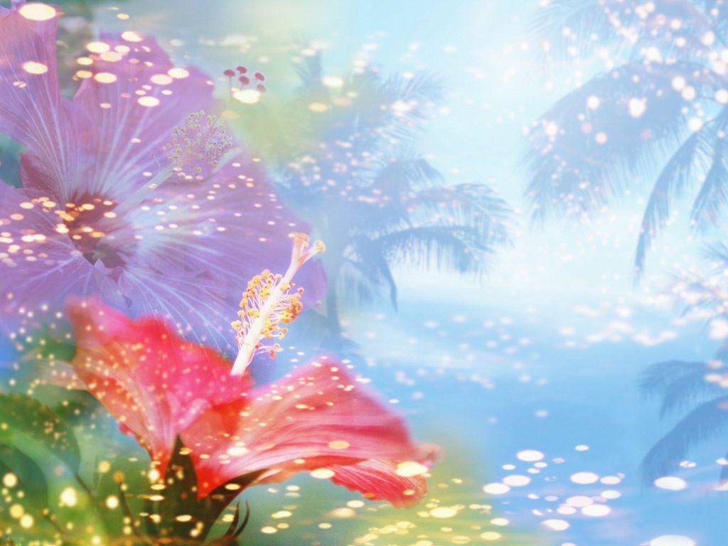 Of Pink Flowers Twitter Background Background Serbagunamarine Picture