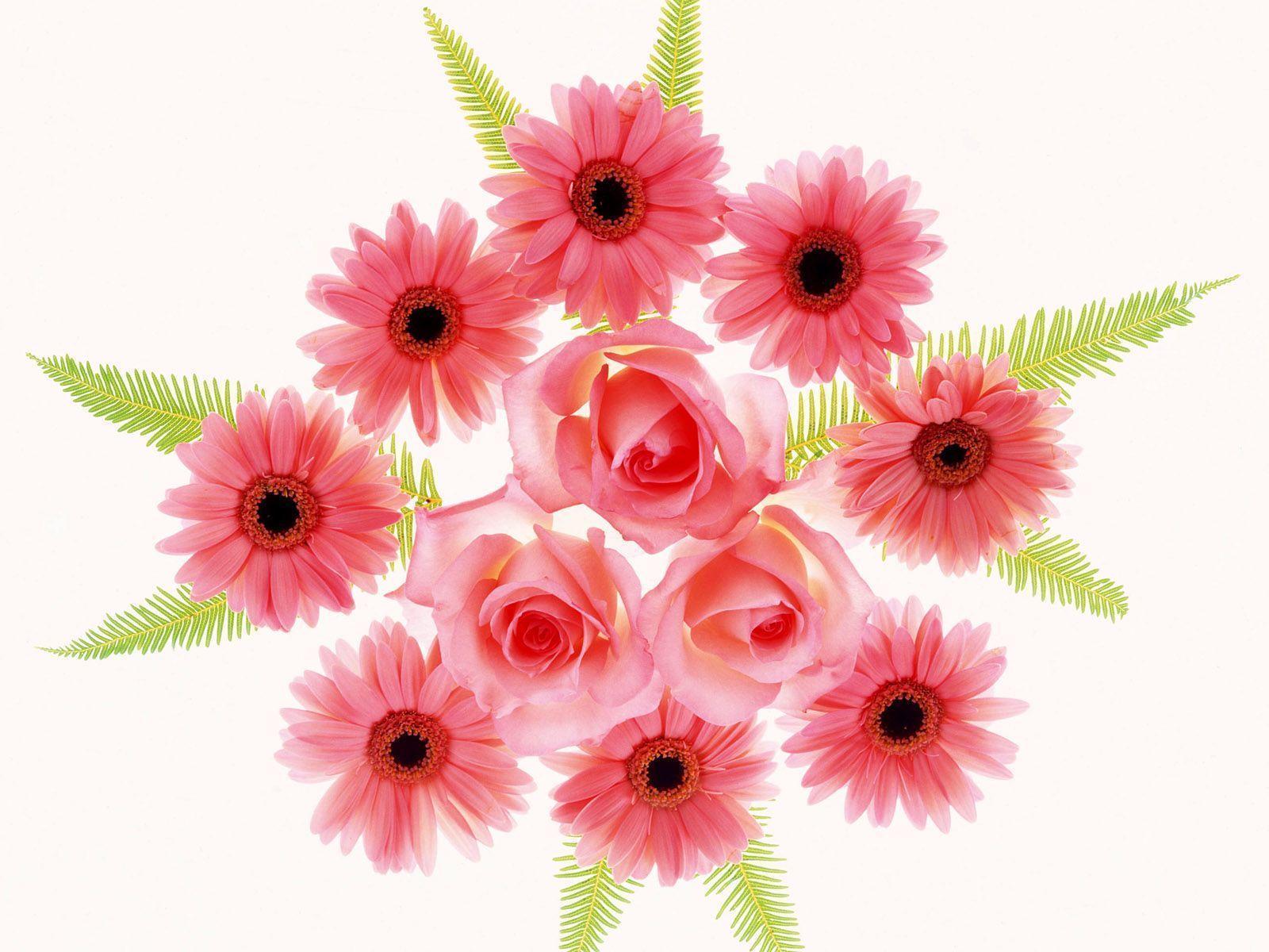 The first series of flowers background 13720