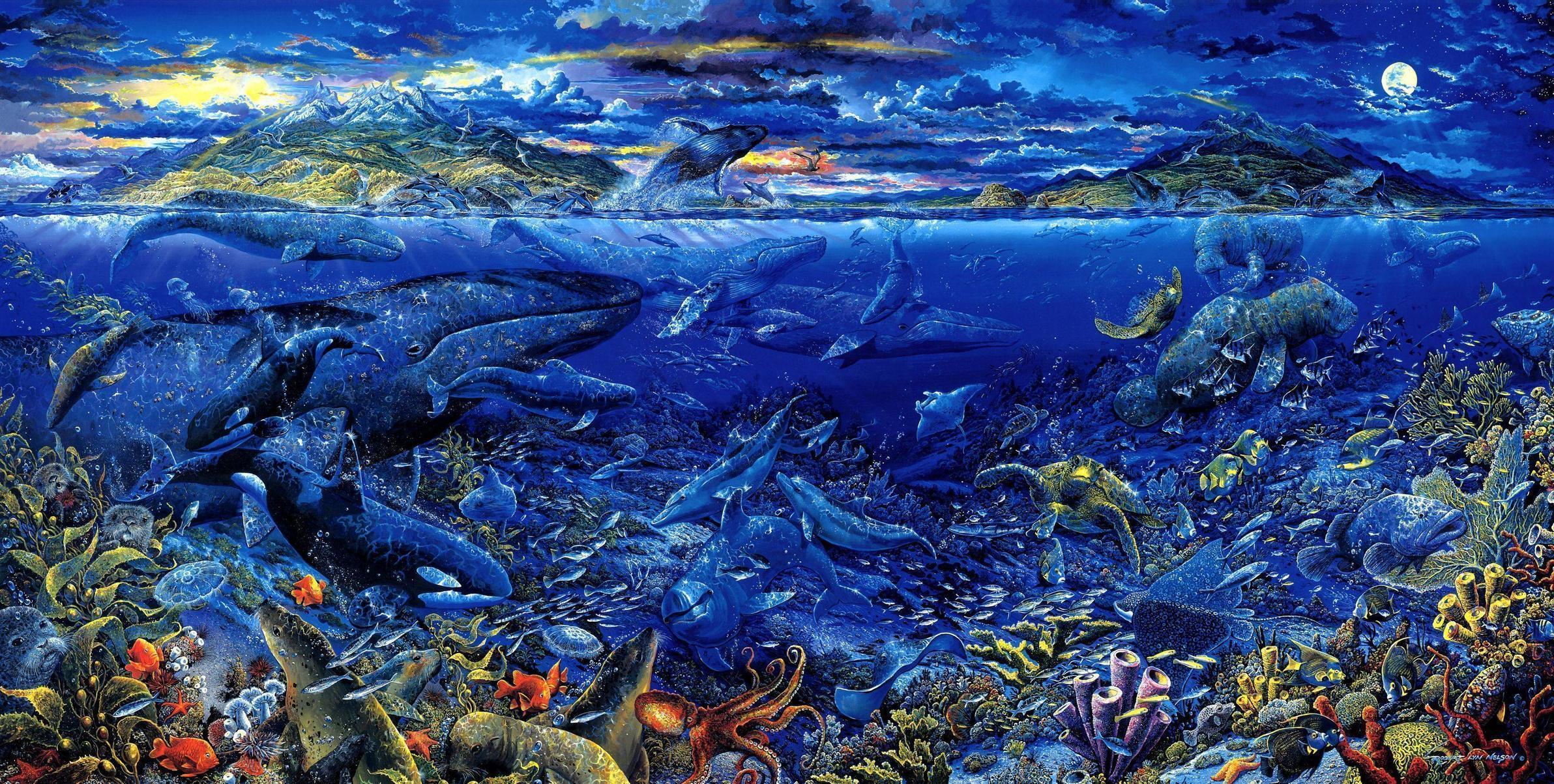 Sea Life Computer Wallpaper, Desktop Background 3405x1718 Id: 236429