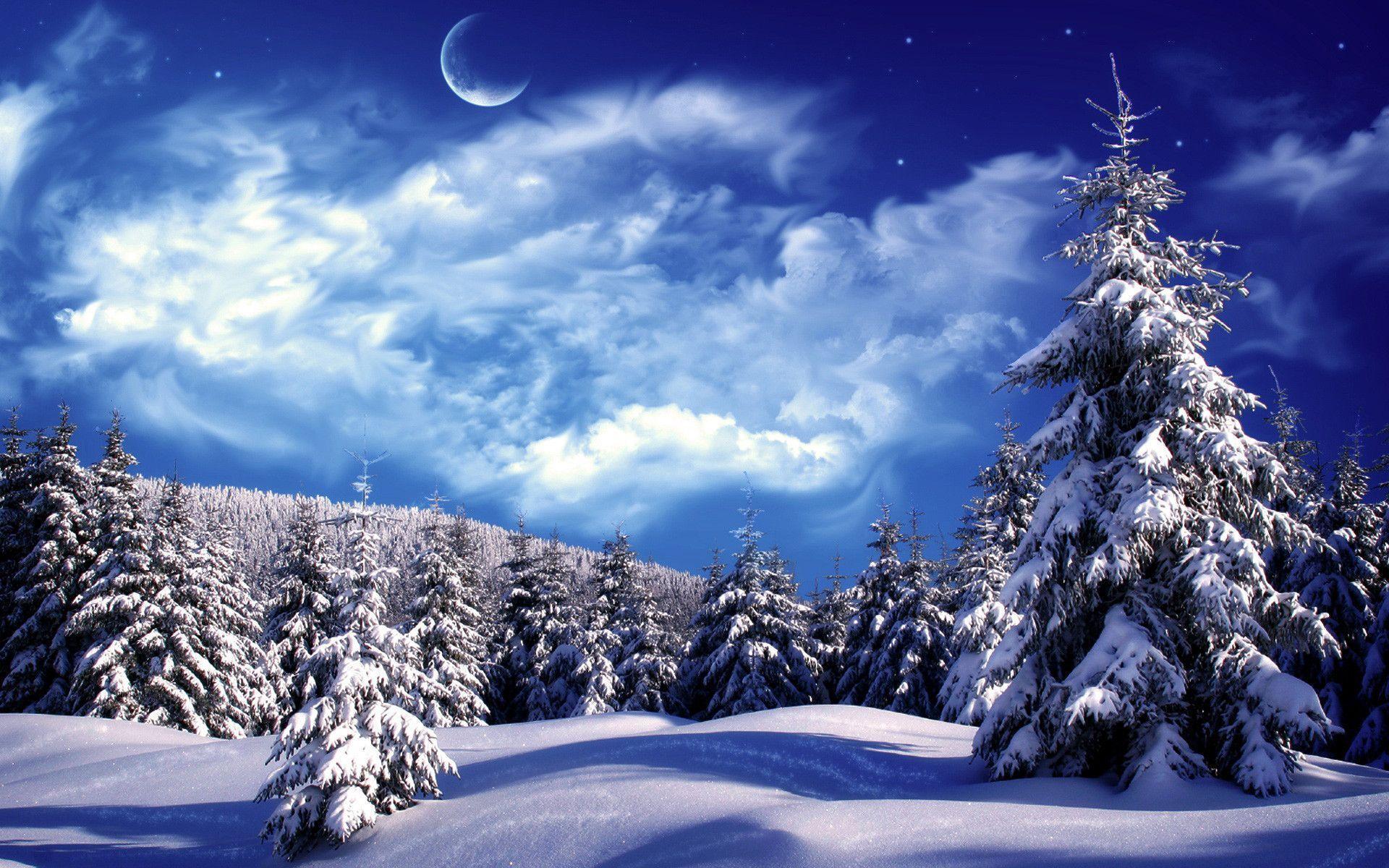 Beautiful Winter Wallpaper 4845 HD Wallpaper