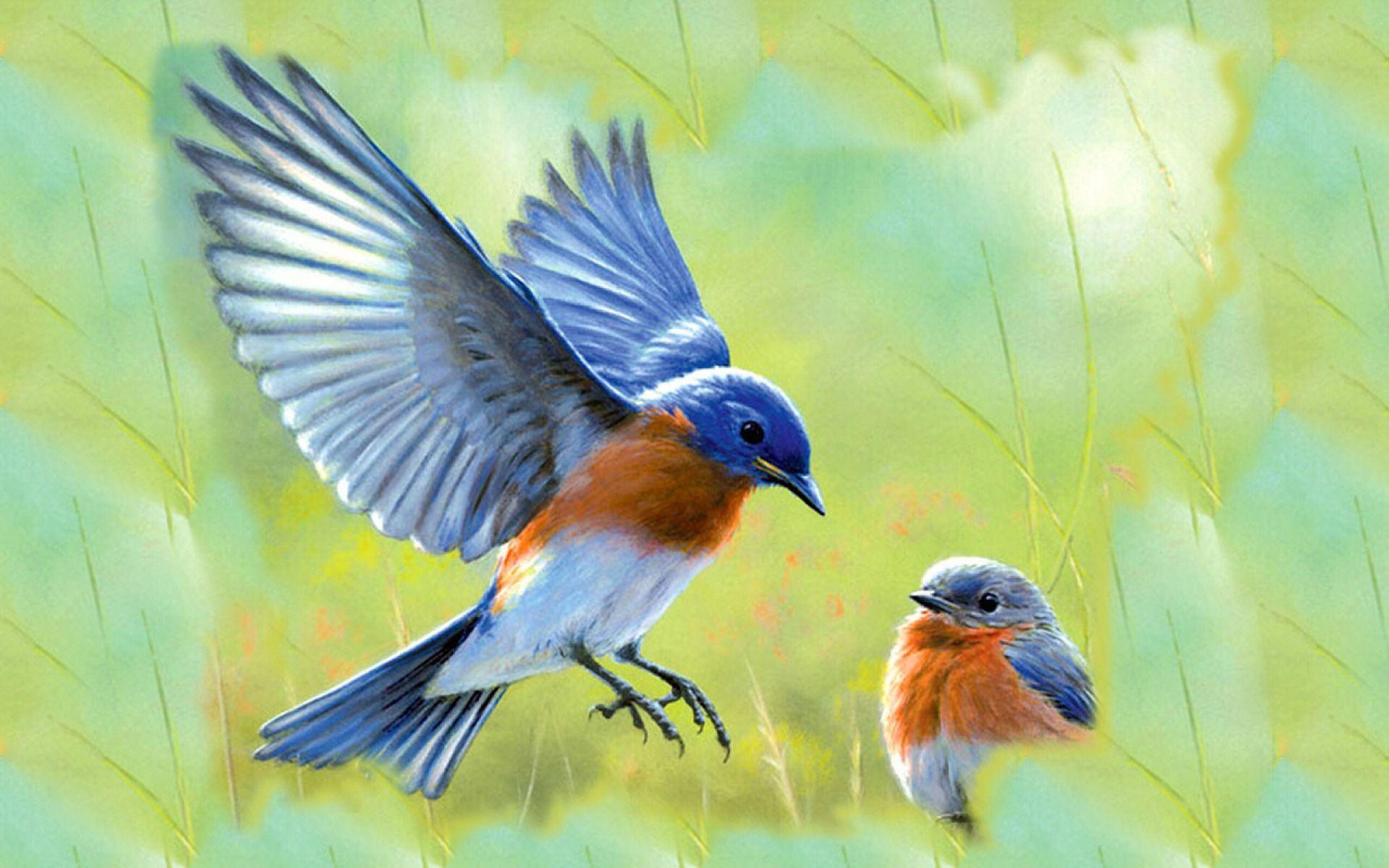 Blue Birds Image