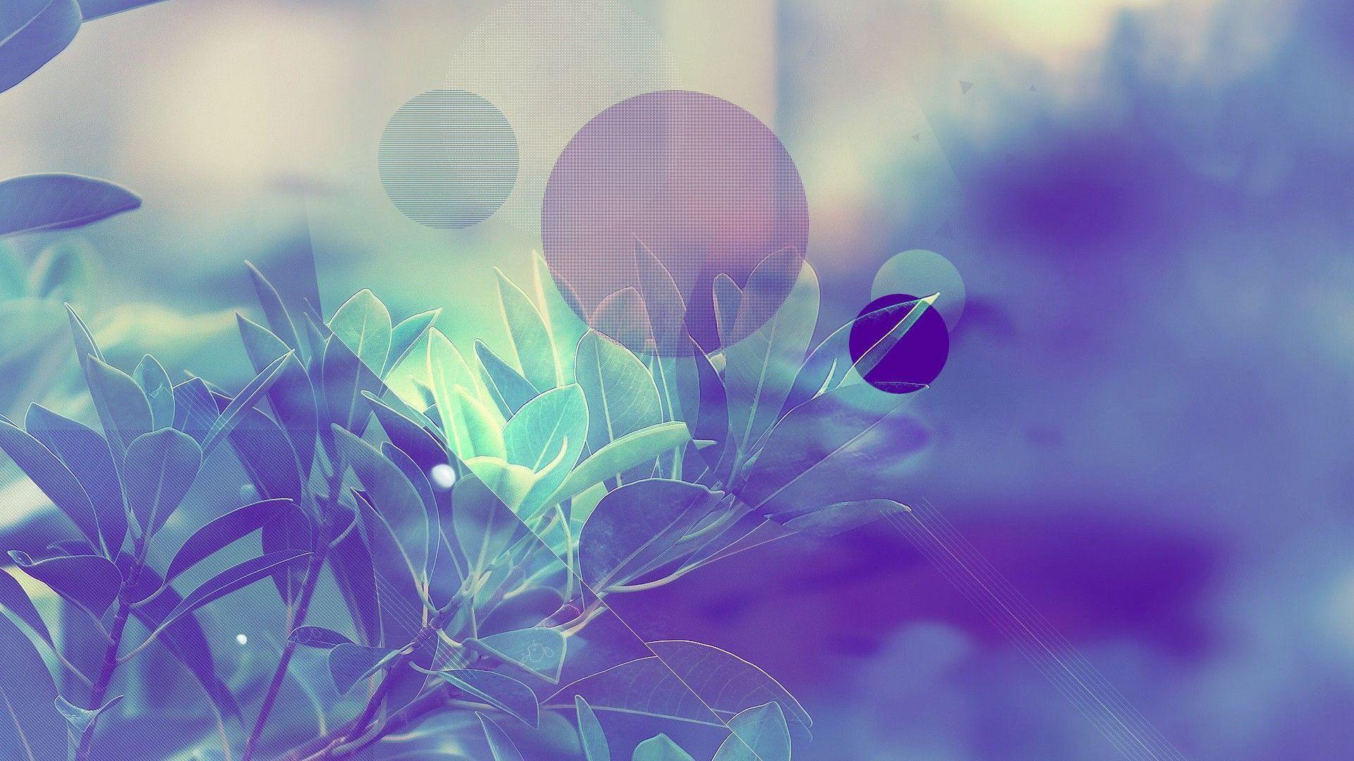 Pastel filter over the plant Wallpaper #