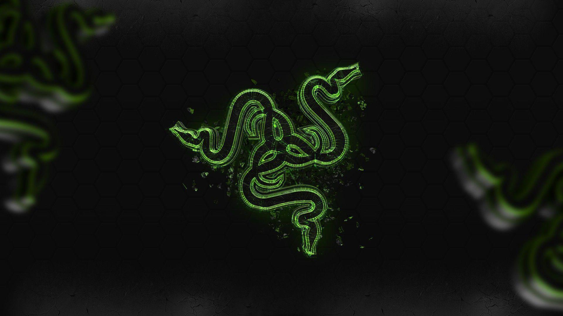Wallpapers For > Razer Wallpapers Hd