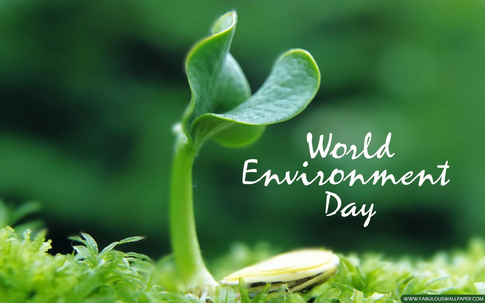 Download Nice World Environment Day 2015 Wallpapers