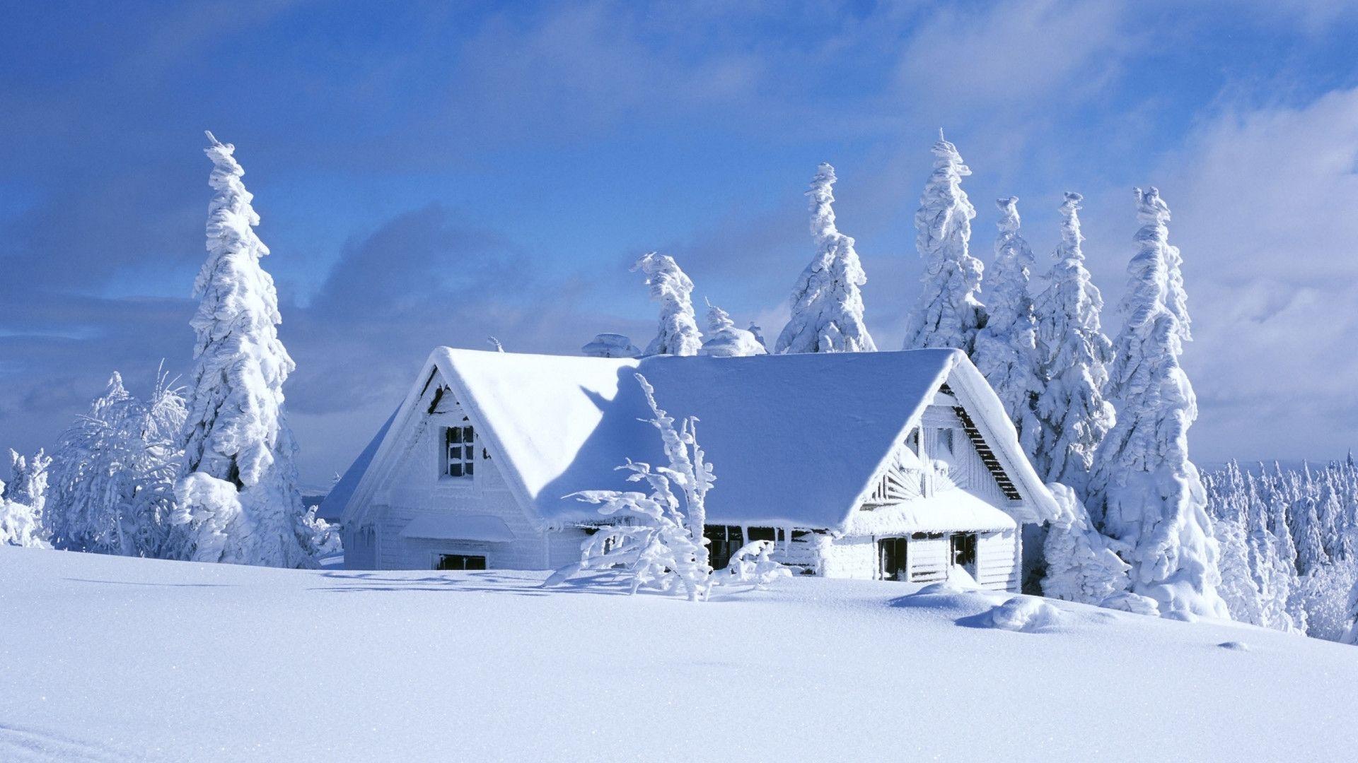 Winter Wallpapers - Top Free Winter Backgrounds - WallpaperAccess