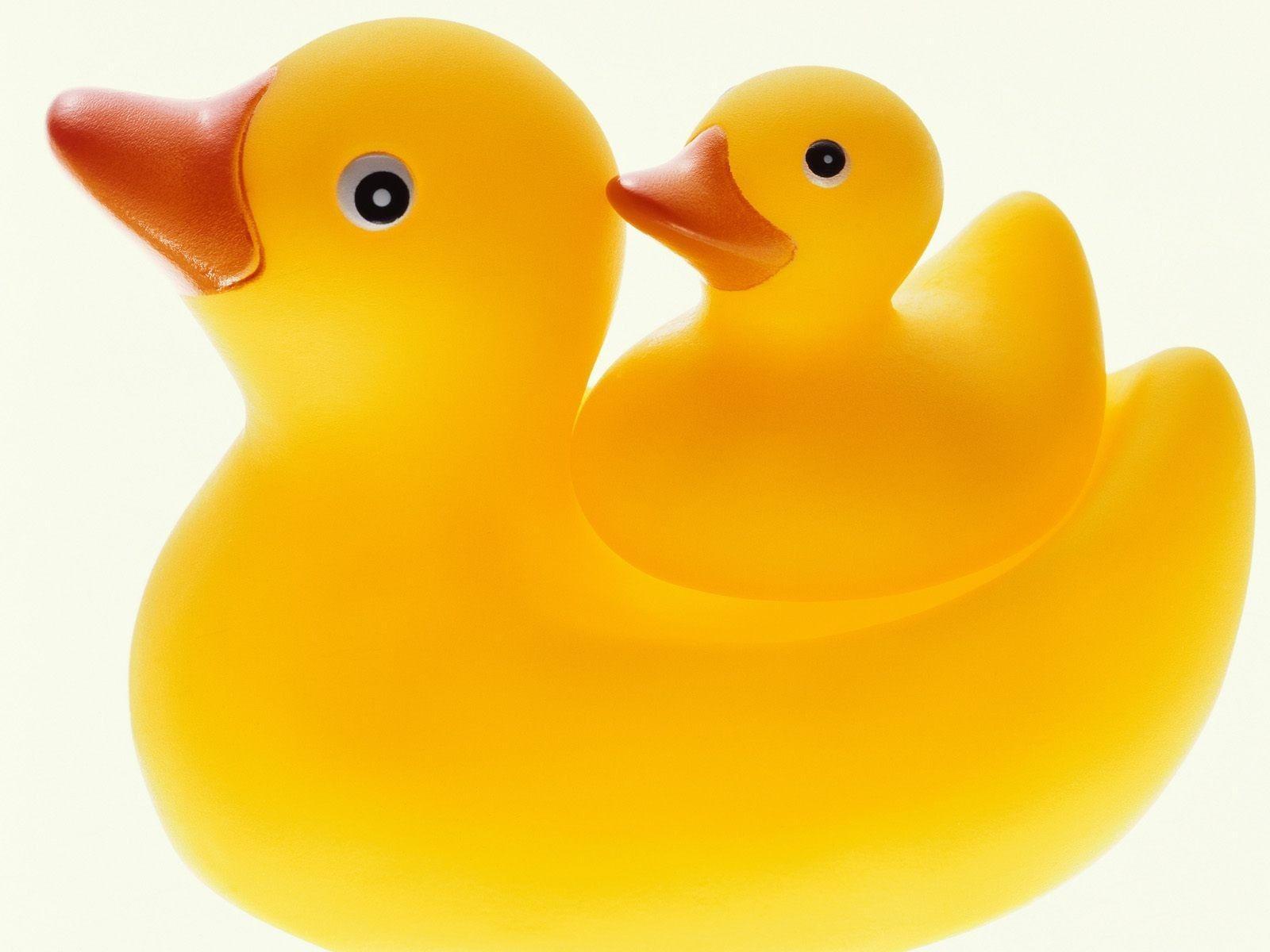 Wallpaper For > Rubber Duck Background
