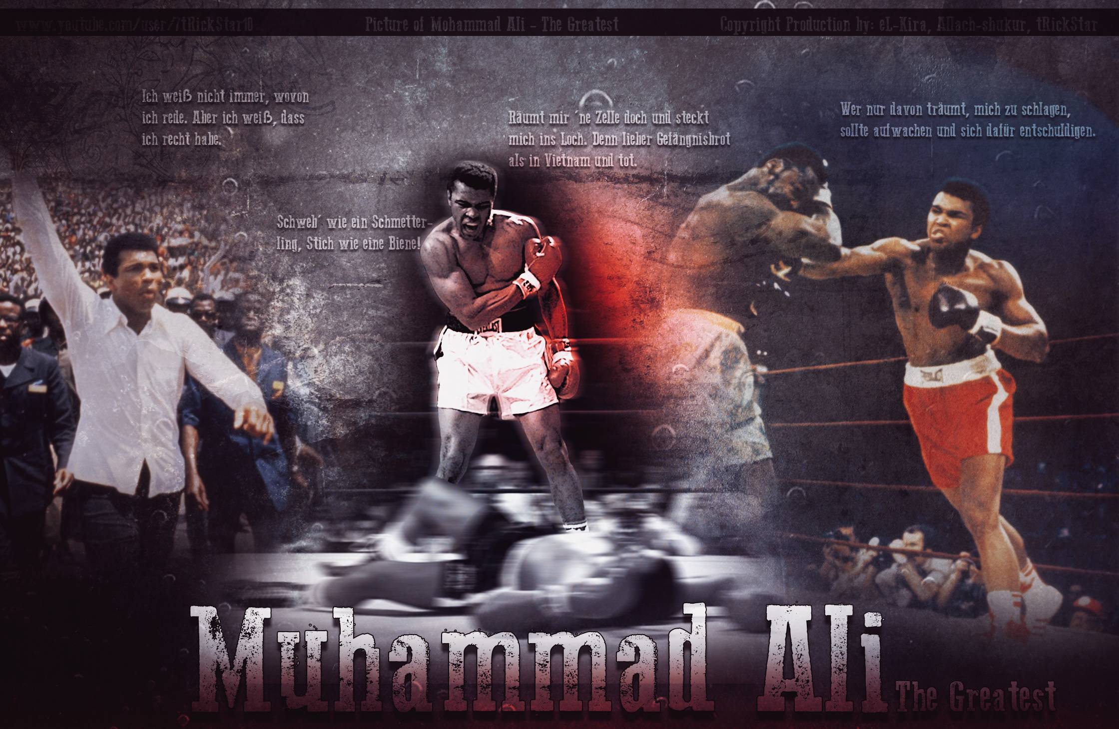 Wallpaper For > Muhammad Ali Wallpaper HD