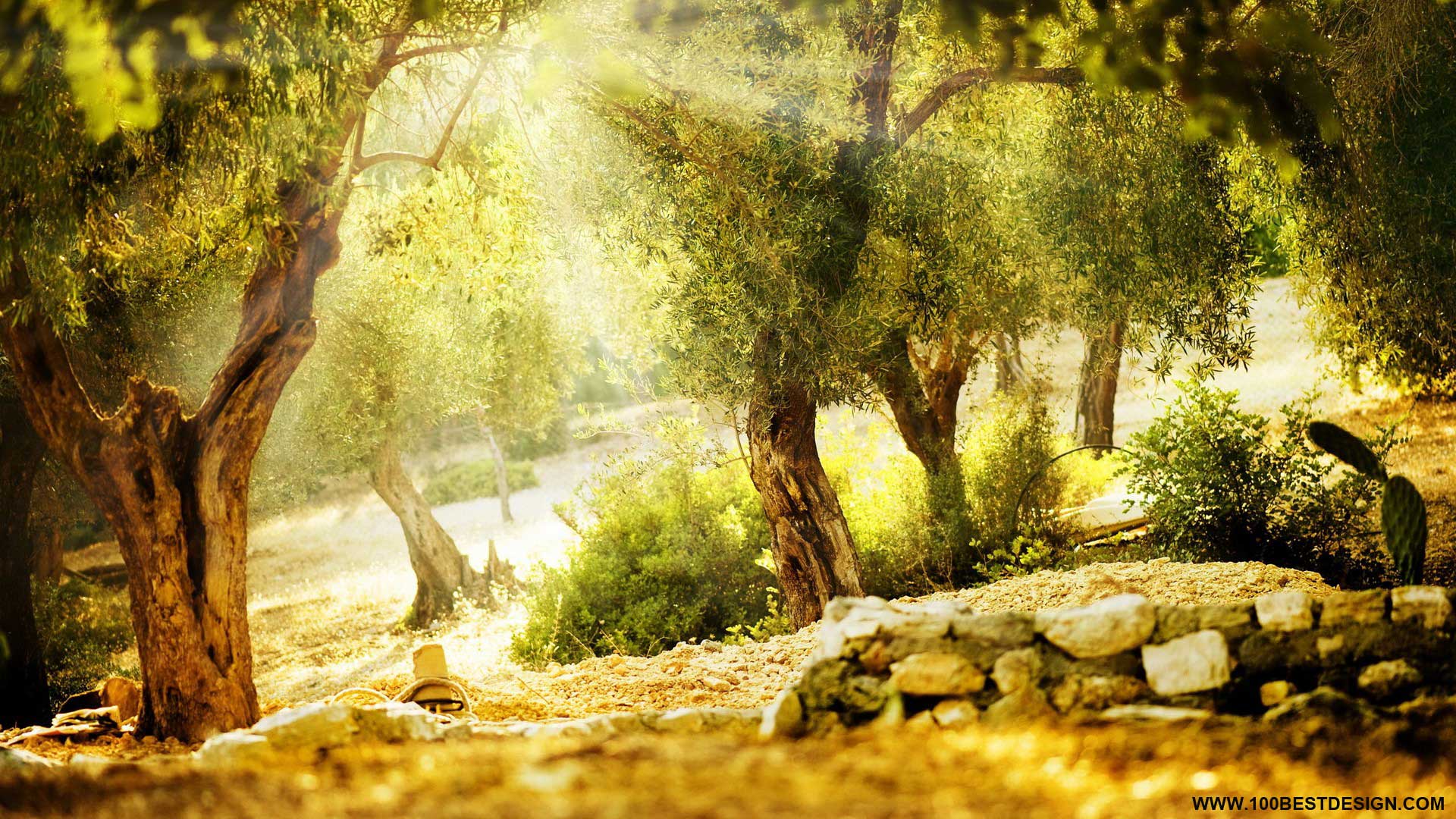 Nice Nature Desktop And Background 27 Wallpaper