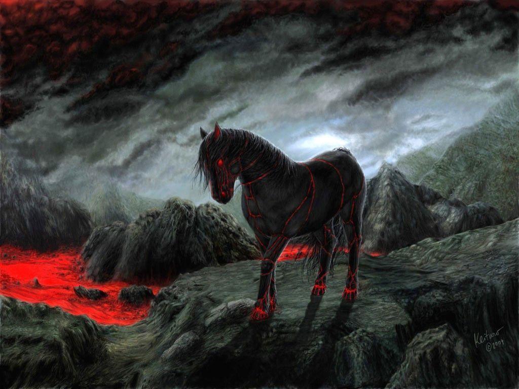 Black Horse 3d Wallpaper Hd Image Num 30