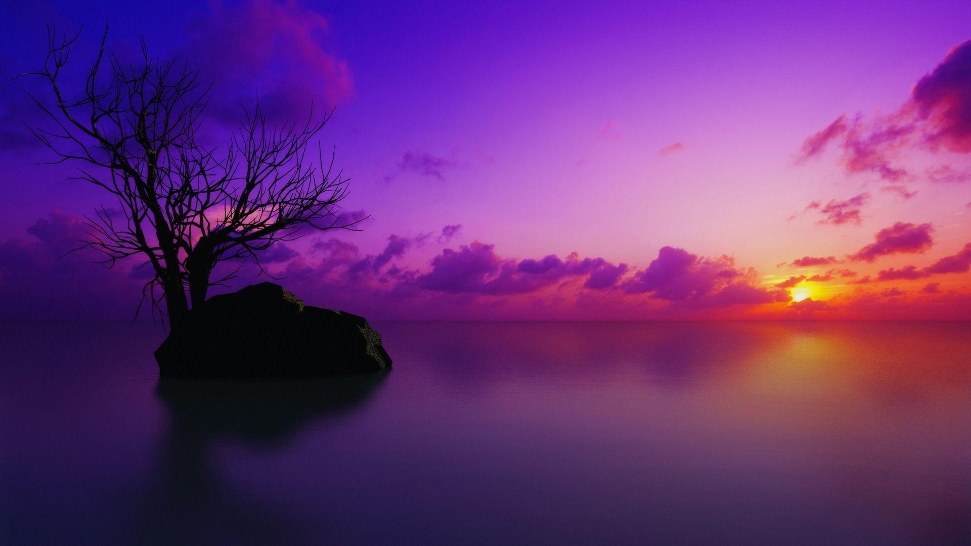 Purple sunset desktop wallpaper