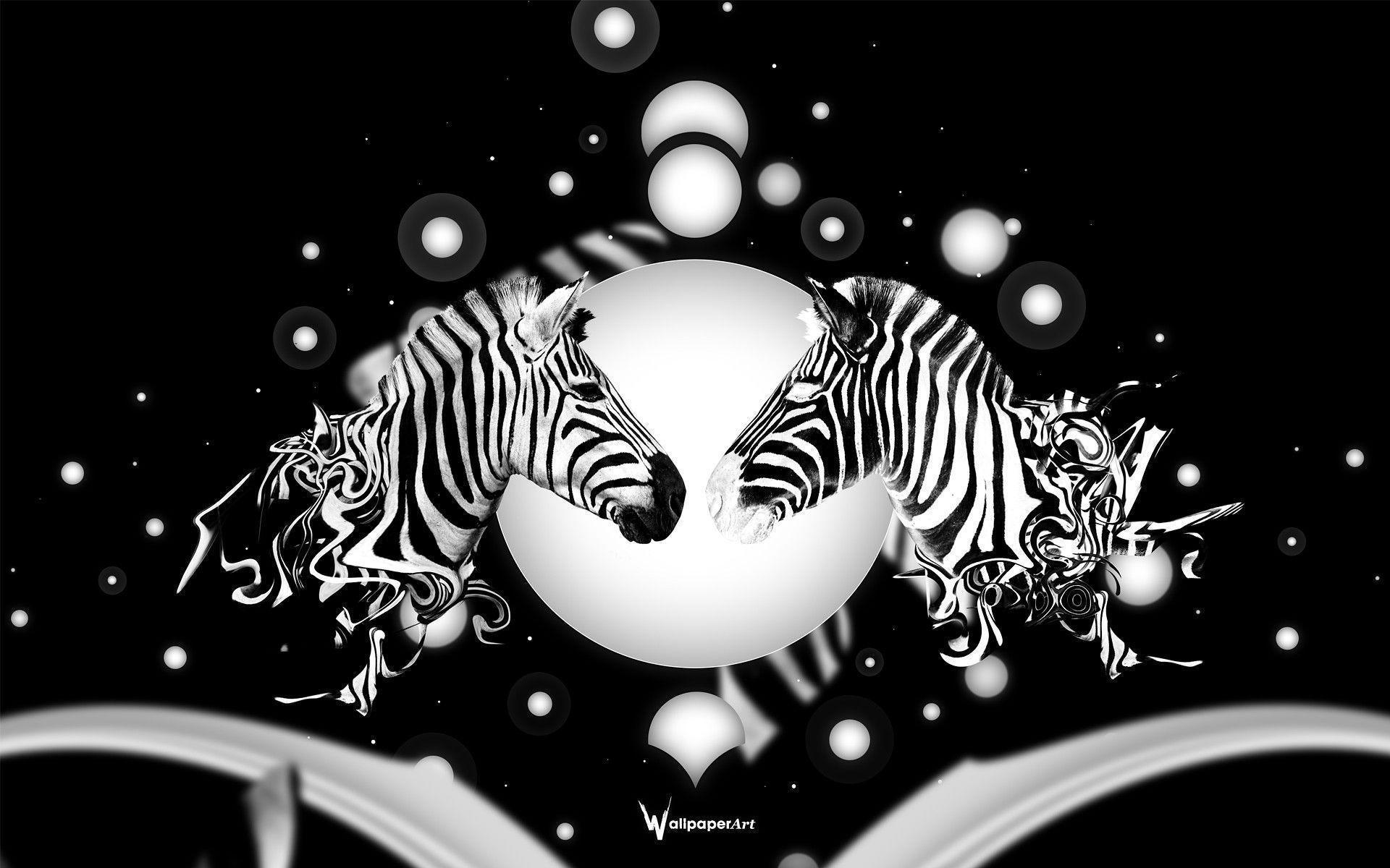 Background for Desktop Zebra, wallpaper, Background for Desktop