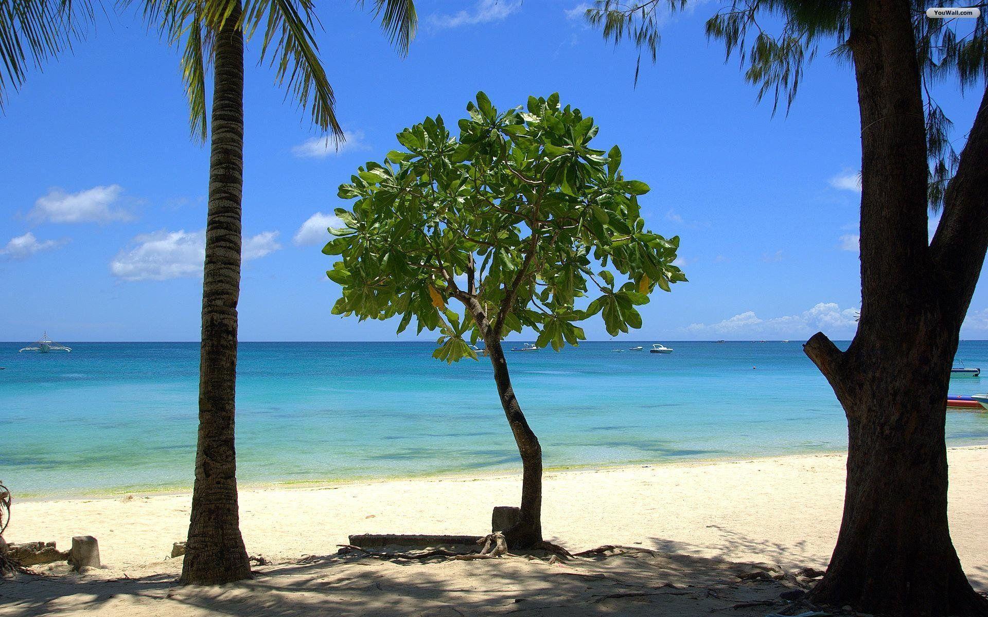 Beach Wallpaper Desktop Widescreen HD Background 9 HD Wallpaper