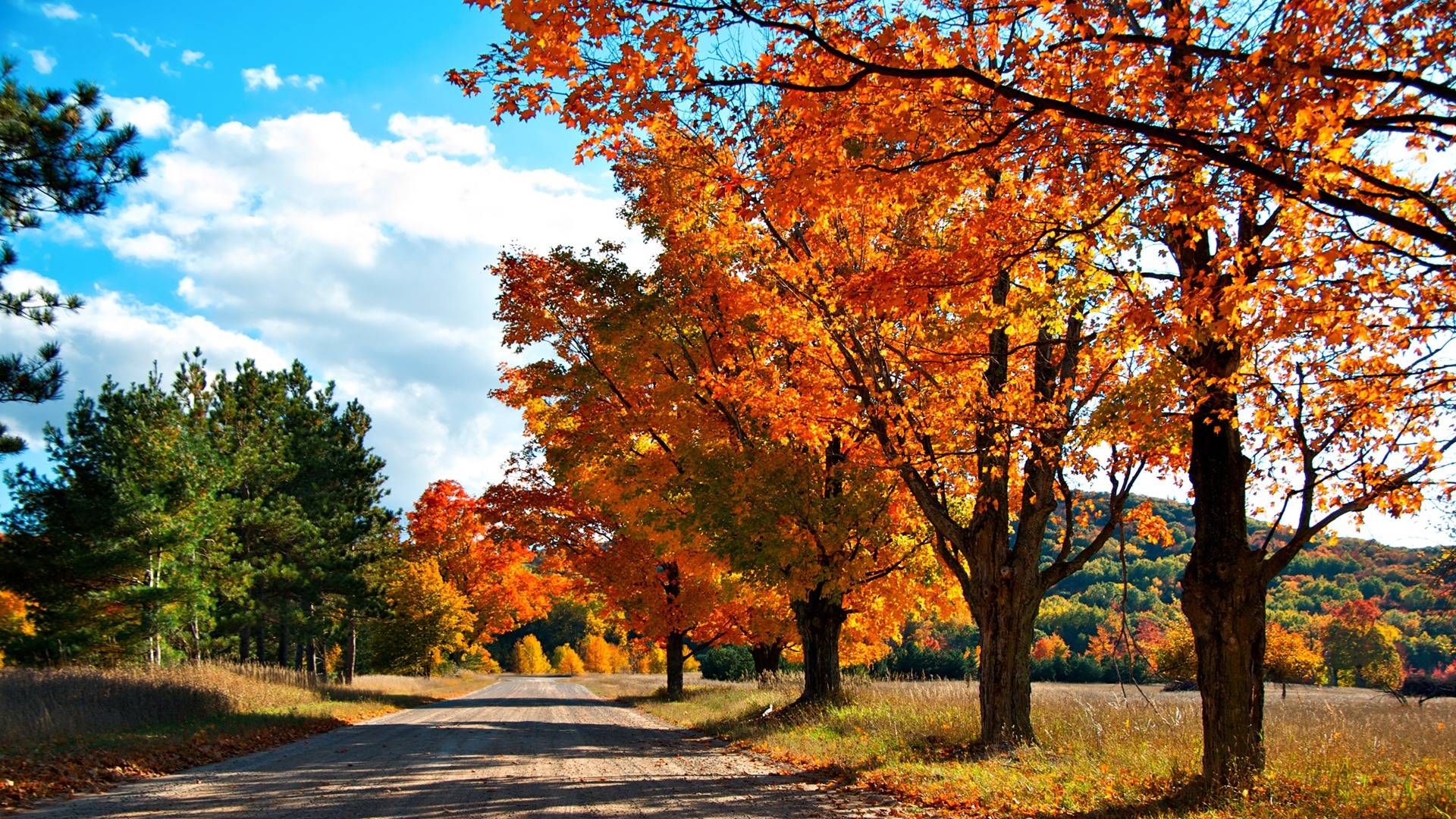 Autumn Lane 1920 1080 4311 Autumn HD Free Wallpaper Background
