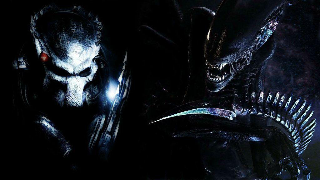 Cool Alien vs Predator Wallpapers on WallpaperDog