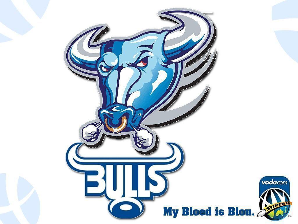 Bulls My Bloed Blou Rugby Sports HD Wallpaper #