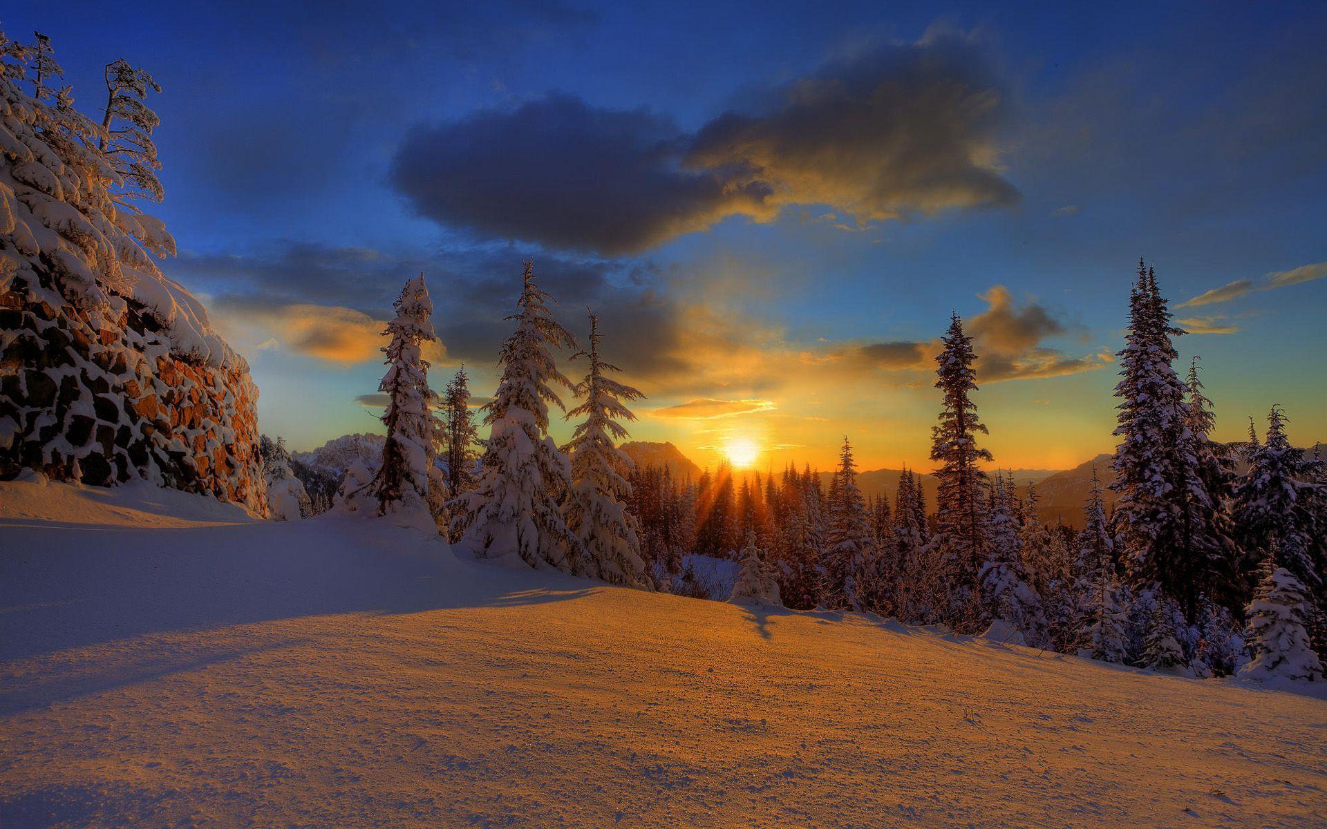Beautiful Winter Sunrise In The Forest HD P Wallpaper