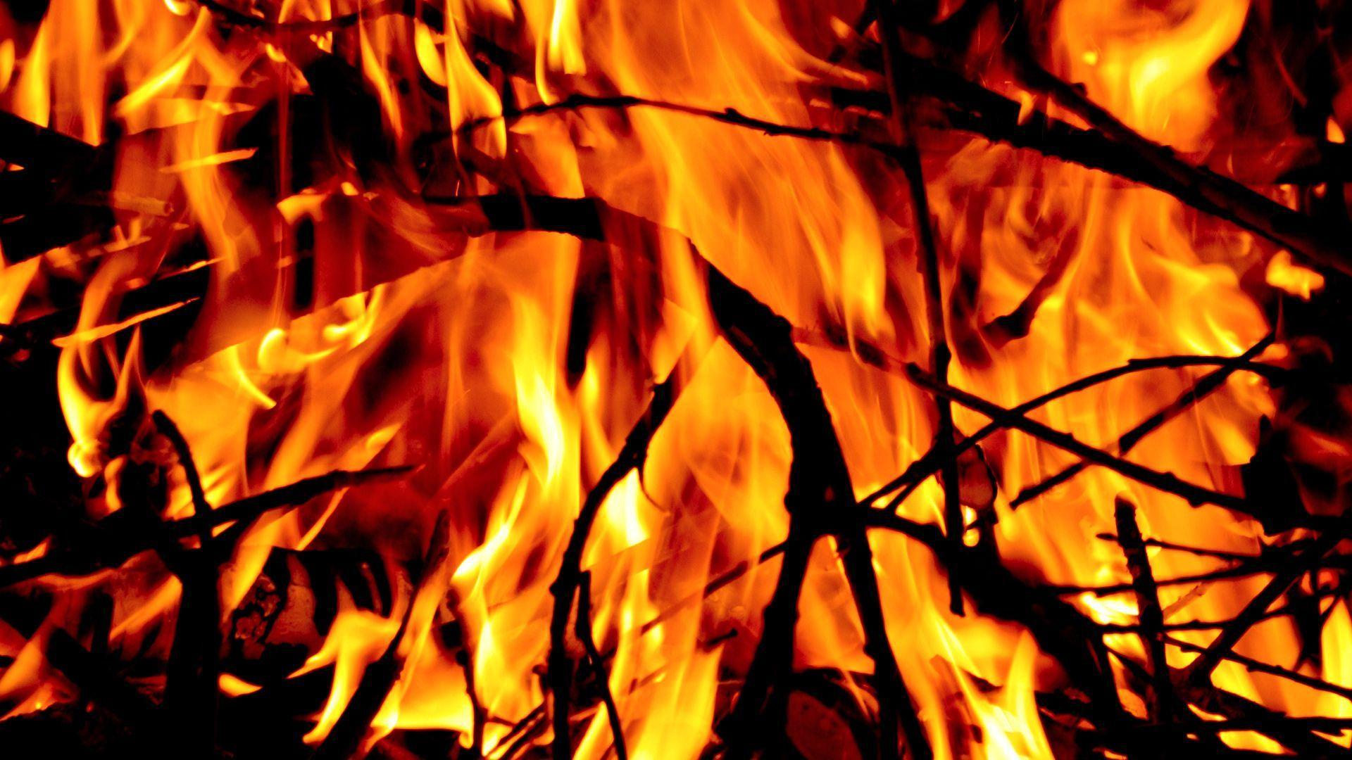 Forest Fire Wallpapers - Wallpaper Cave