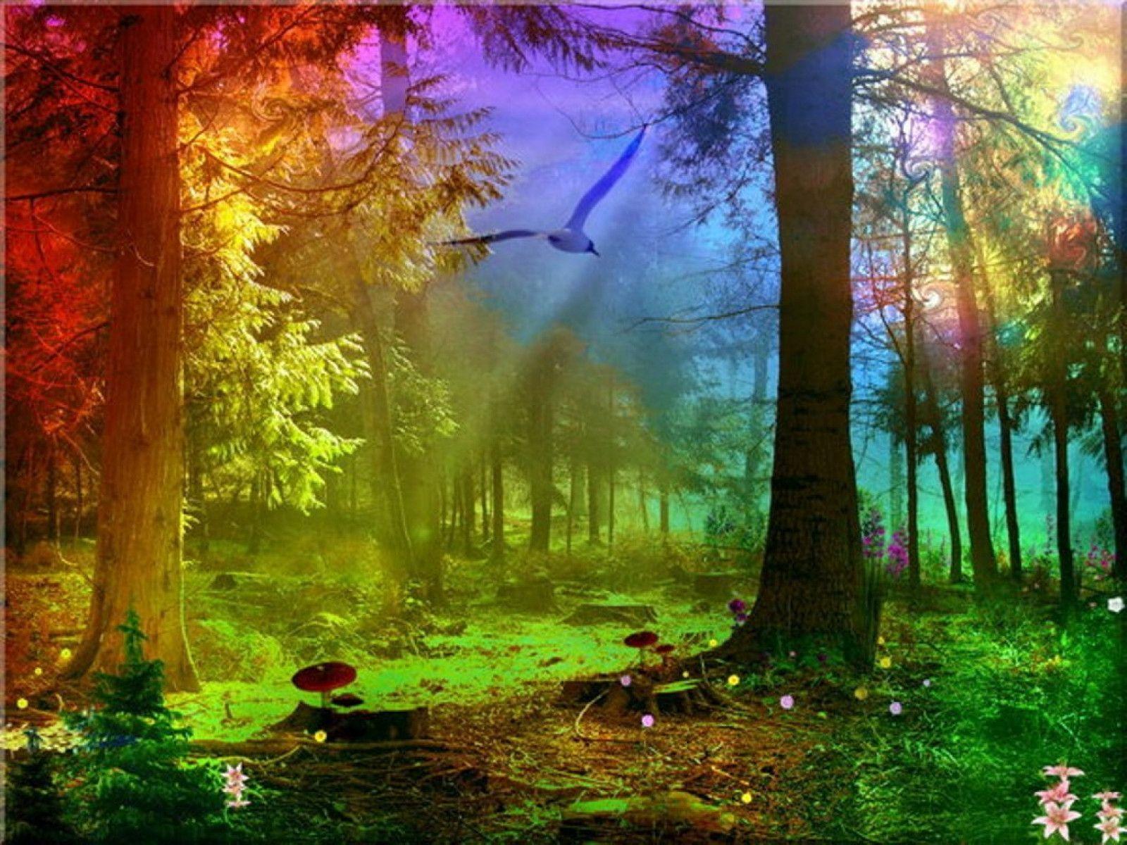 pretty colorful nature backgrounds