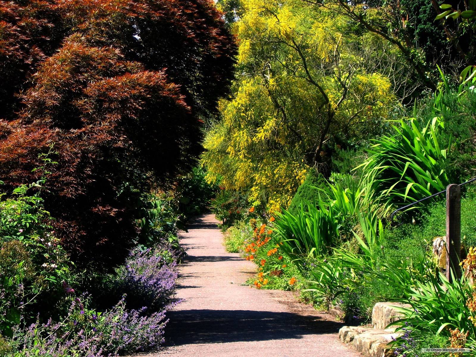 Free Wallpaper Nature wallpaper Hill Garden