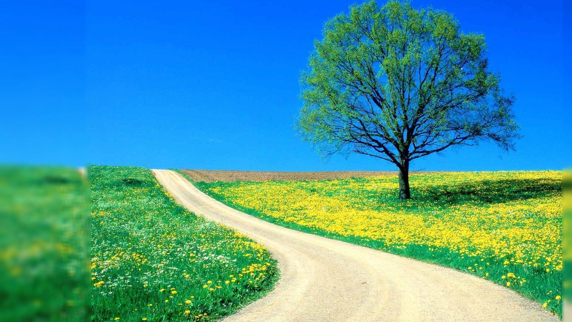 Nature Image For Desktop Background 1 HD Wallpaper. lzamgs