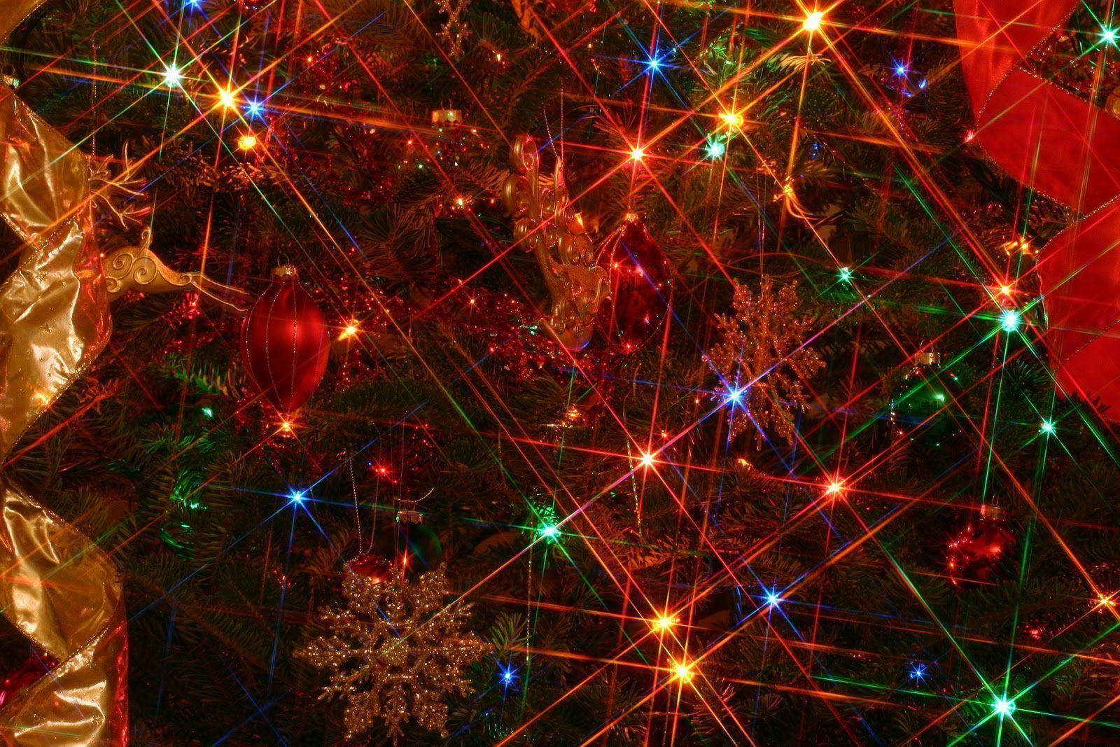Wallpaper For > Christmas Lights Background
