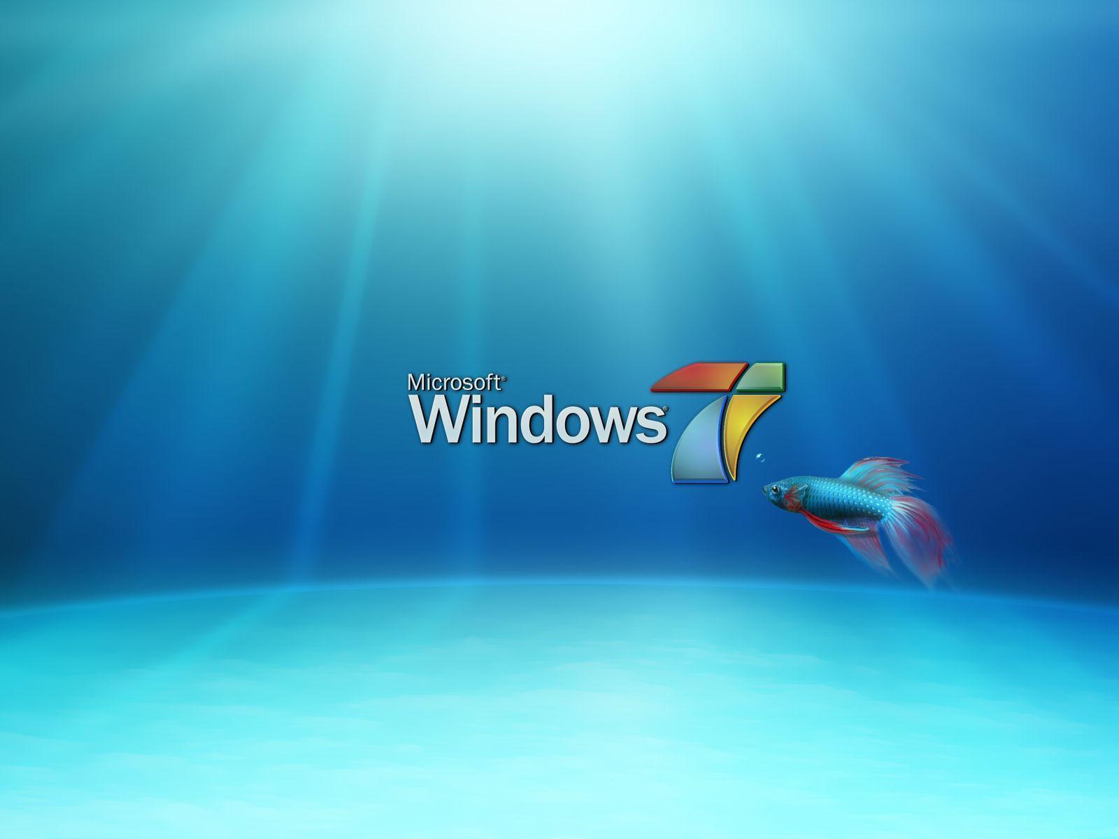 Fish Windows 7 Desktop Wallpaper. Computer Wallpaper Widescreen