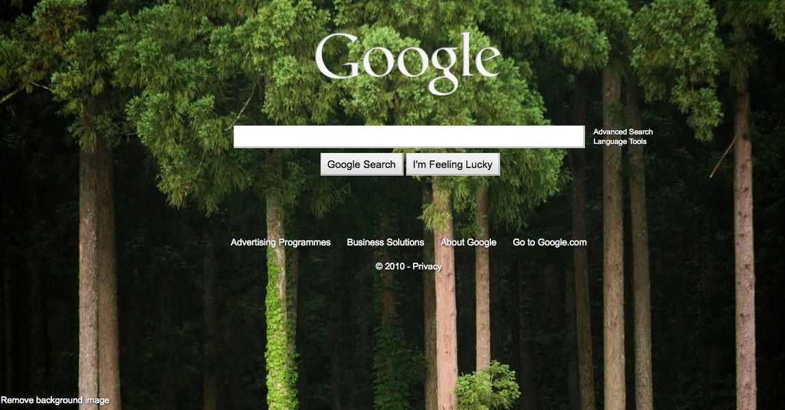 Google Search Wallpaper