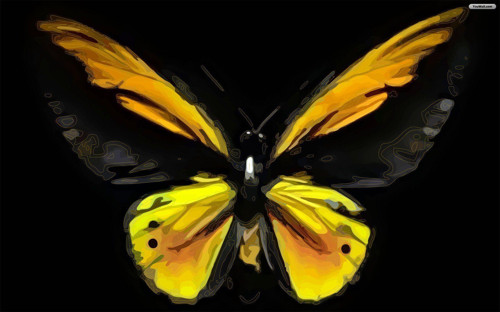 Free Butterfly HD wallpaper