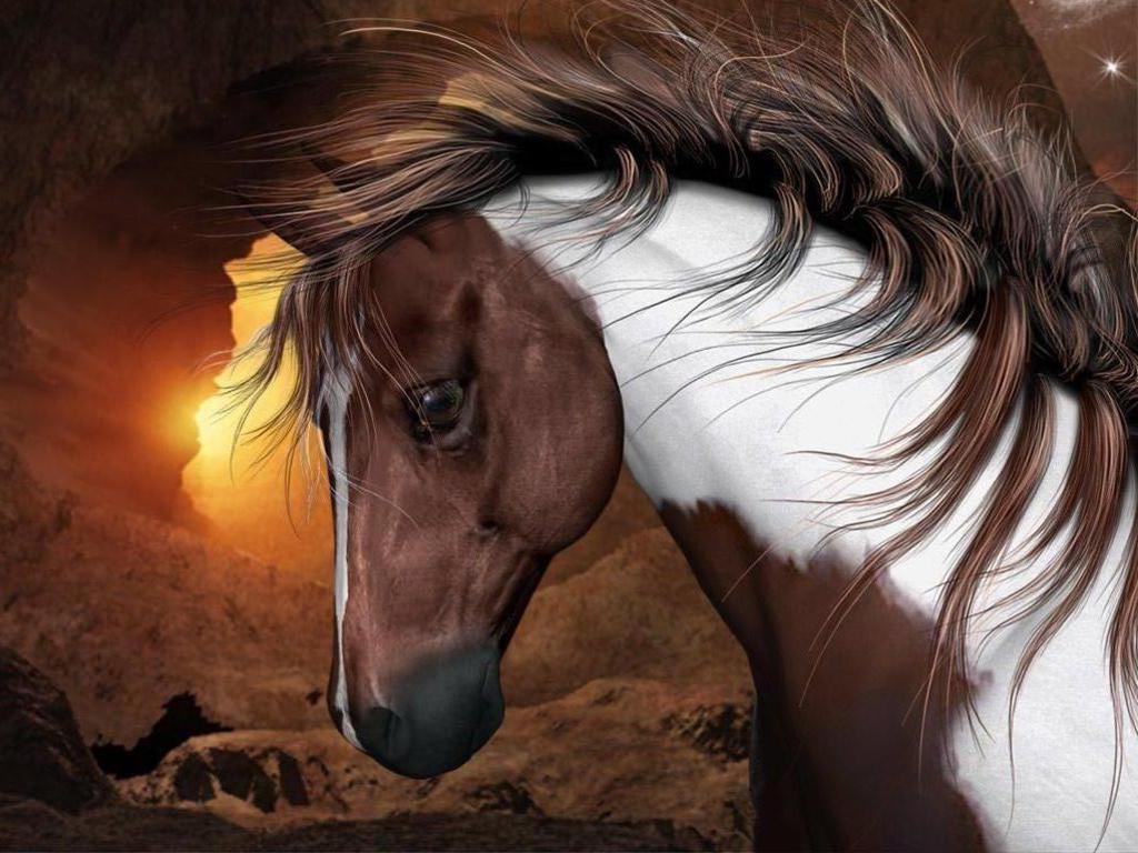 wild paint horses wallpaper