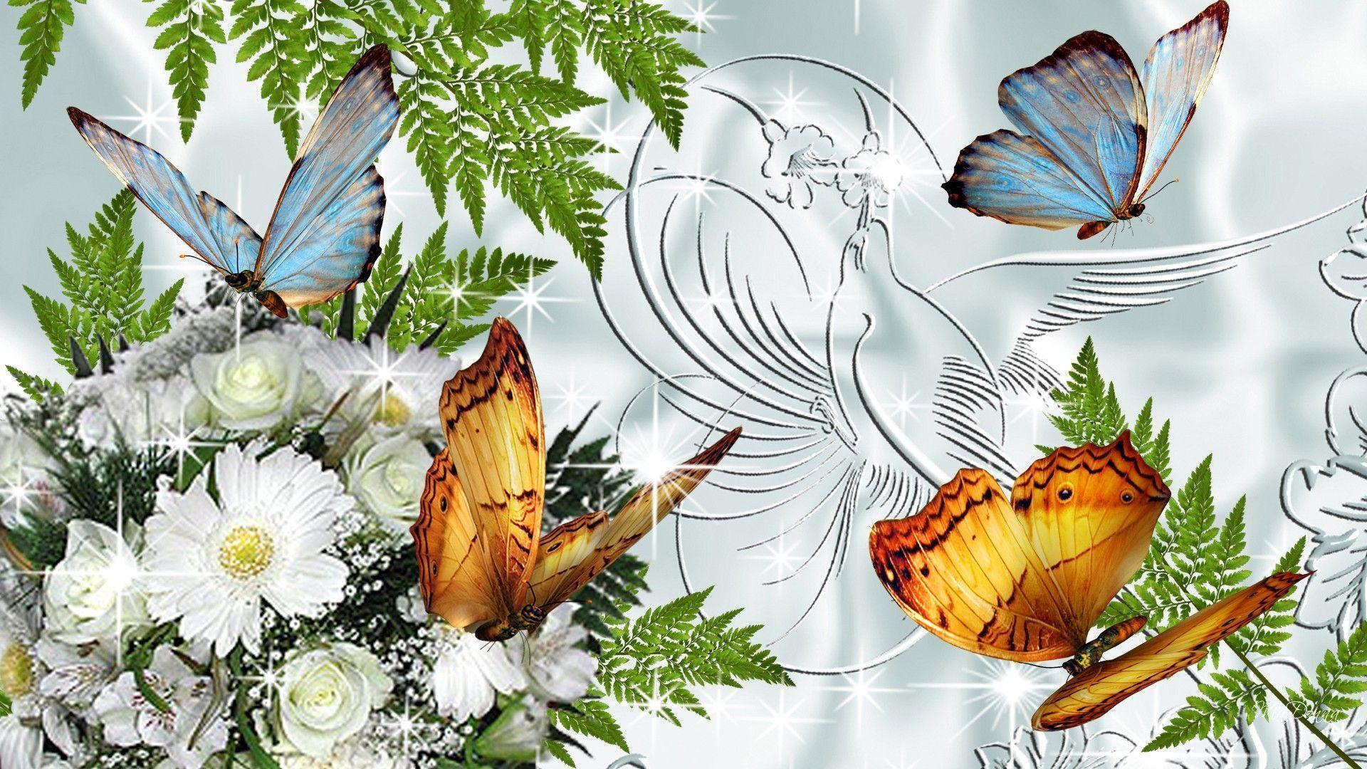 HD Beautiful Butterflies Wallpaper