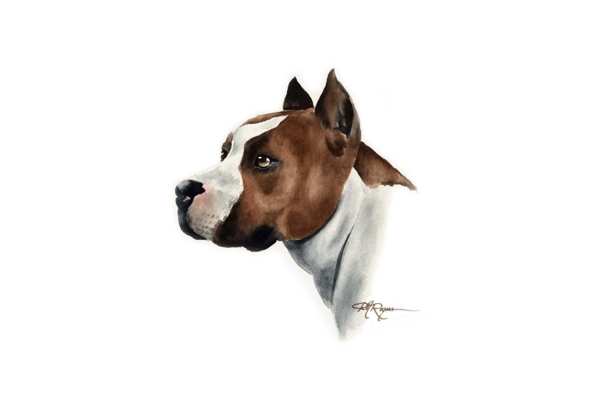 Painted pit bull wallpaper