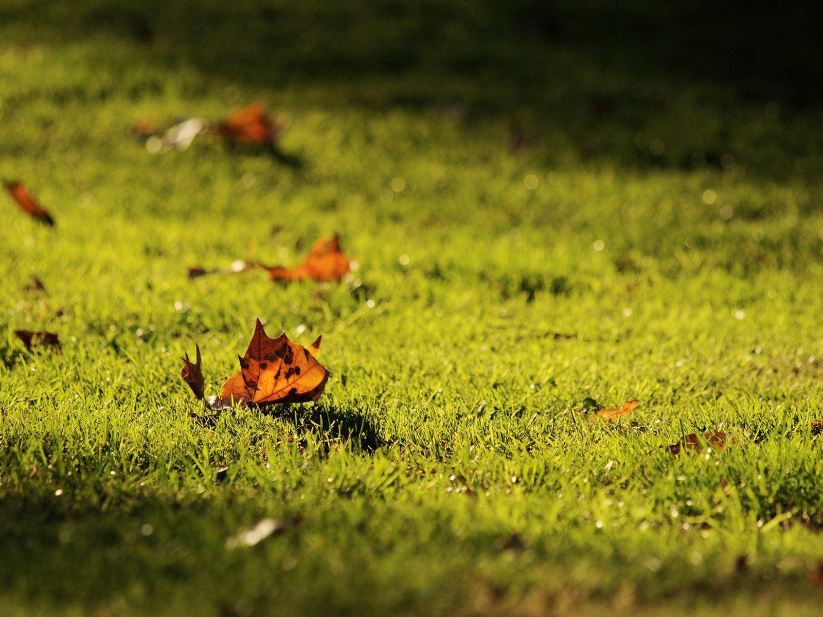 Signs Of Autumn