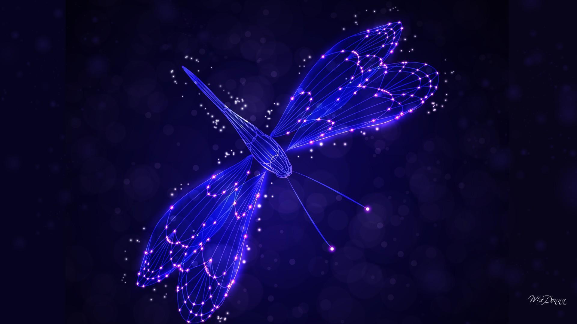 Dragonfly HD Desktop Wallpaper for Widescreen, High Definition