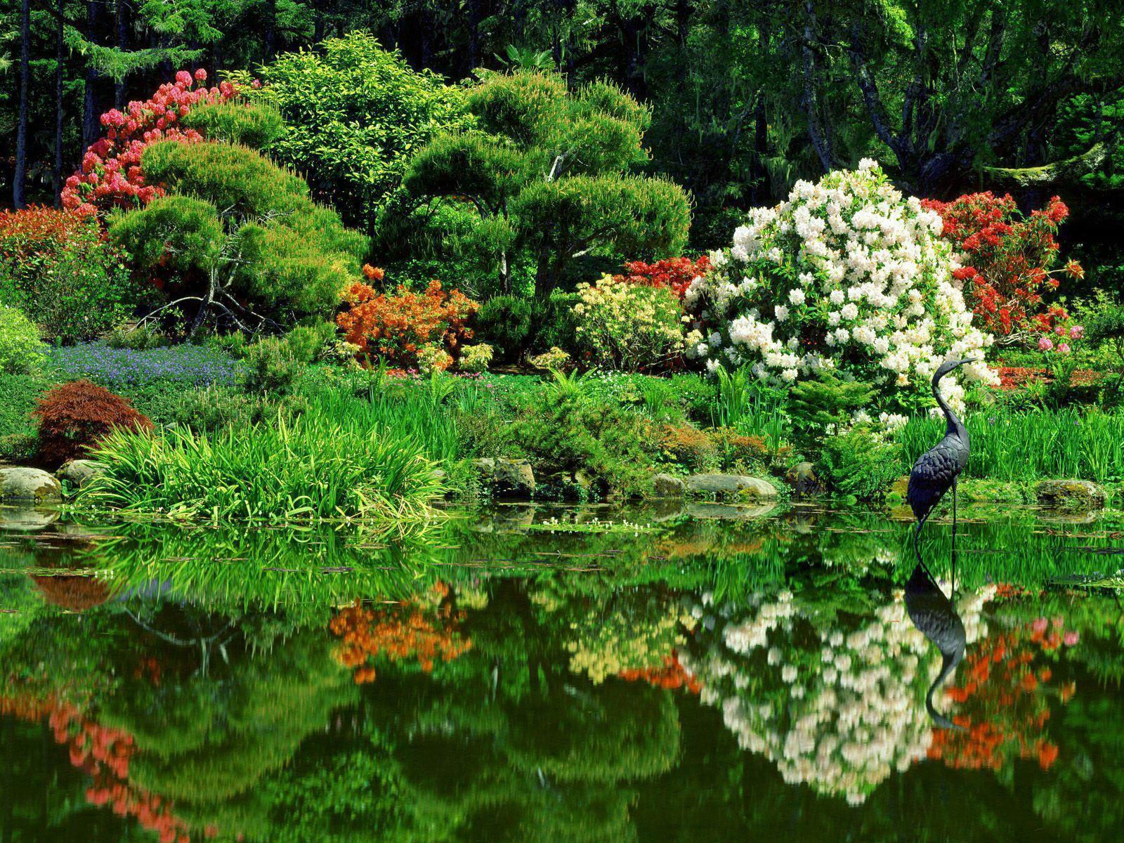Oriental garden shore acres state park Oregon free desktop