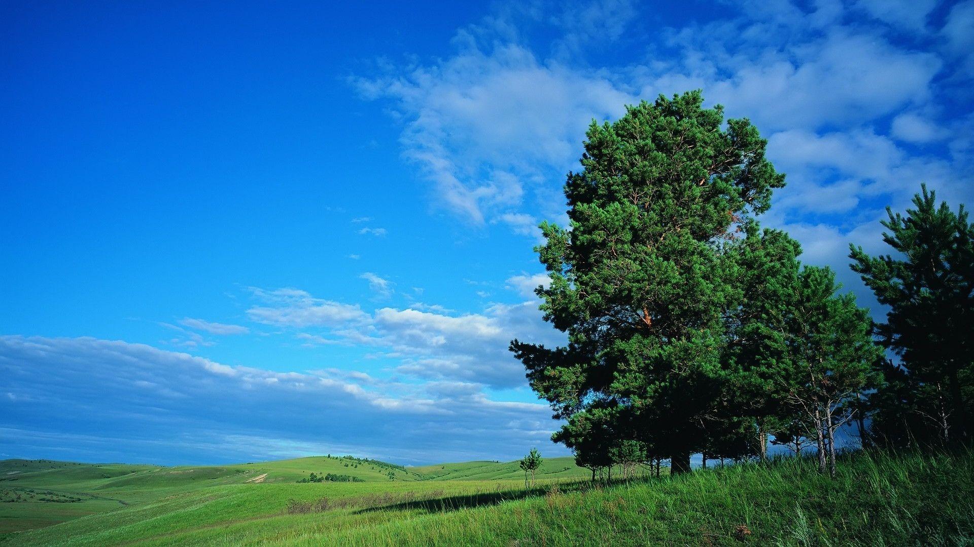 Stunning HD Wallpaper For Your Desktop. I Have A PC