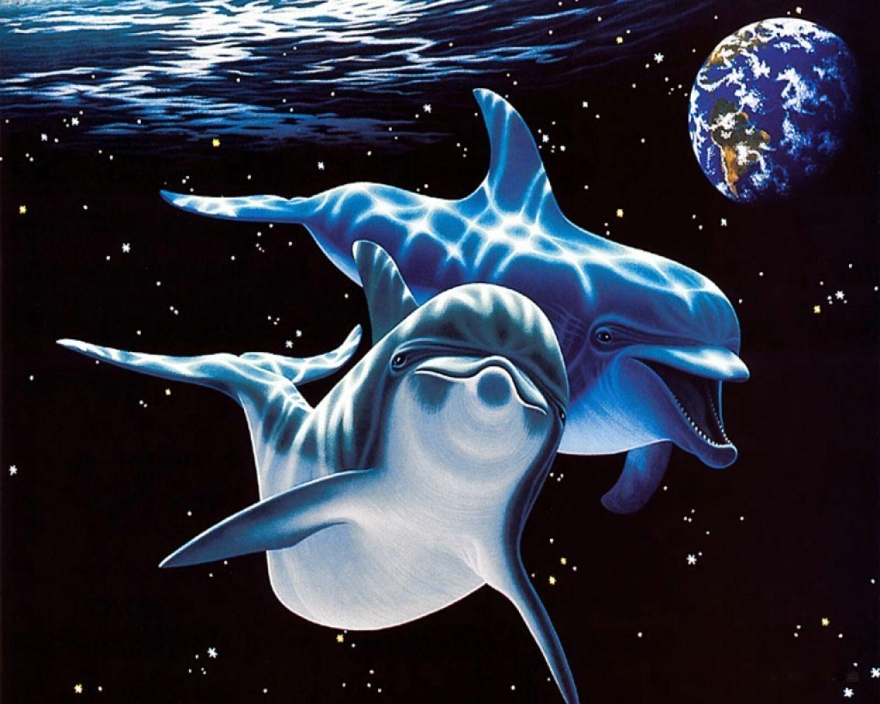 Free Dolphin Wallpaper