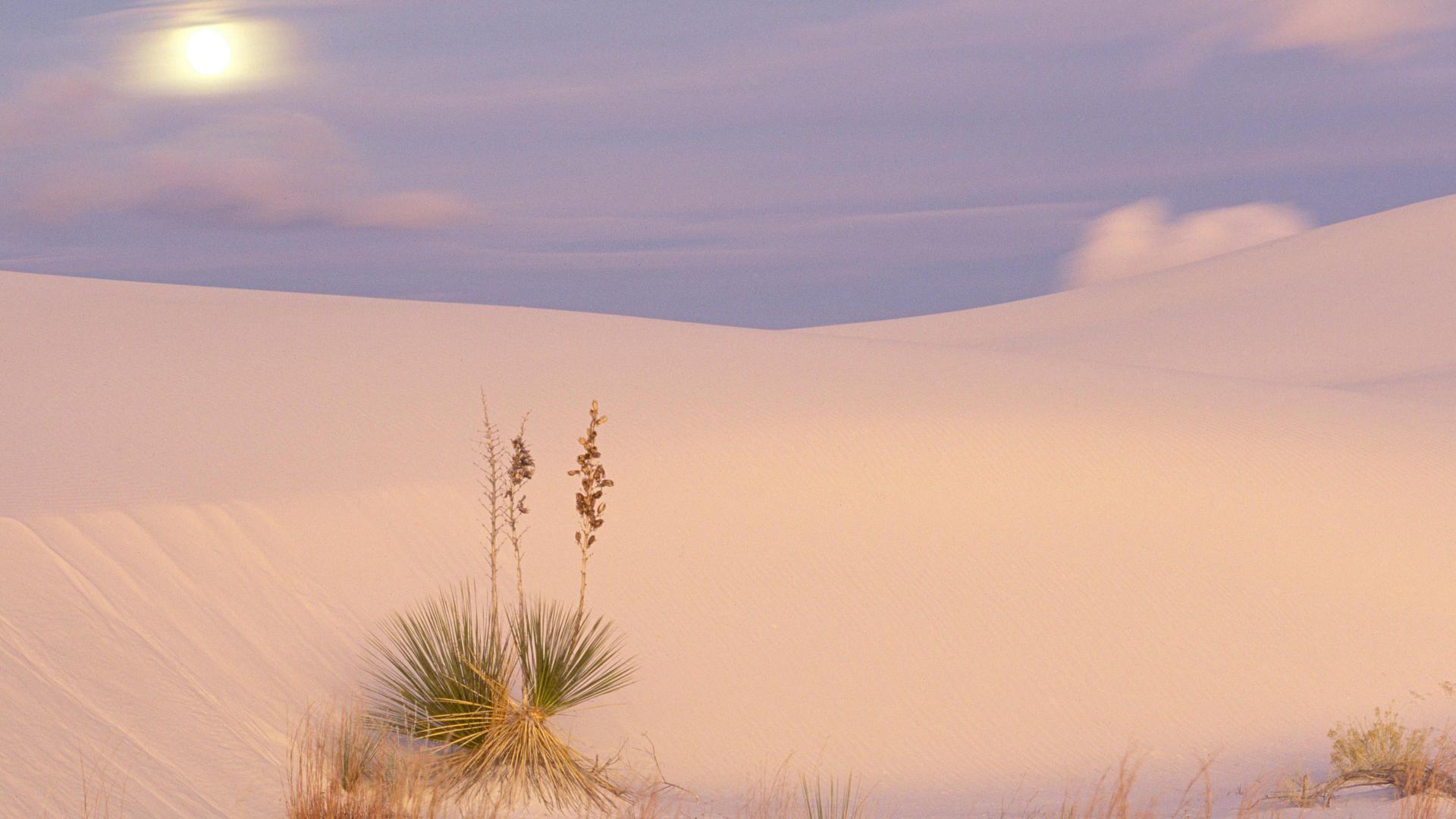 Full Moon Over Dunes, White Sands National Monument, New Mexico