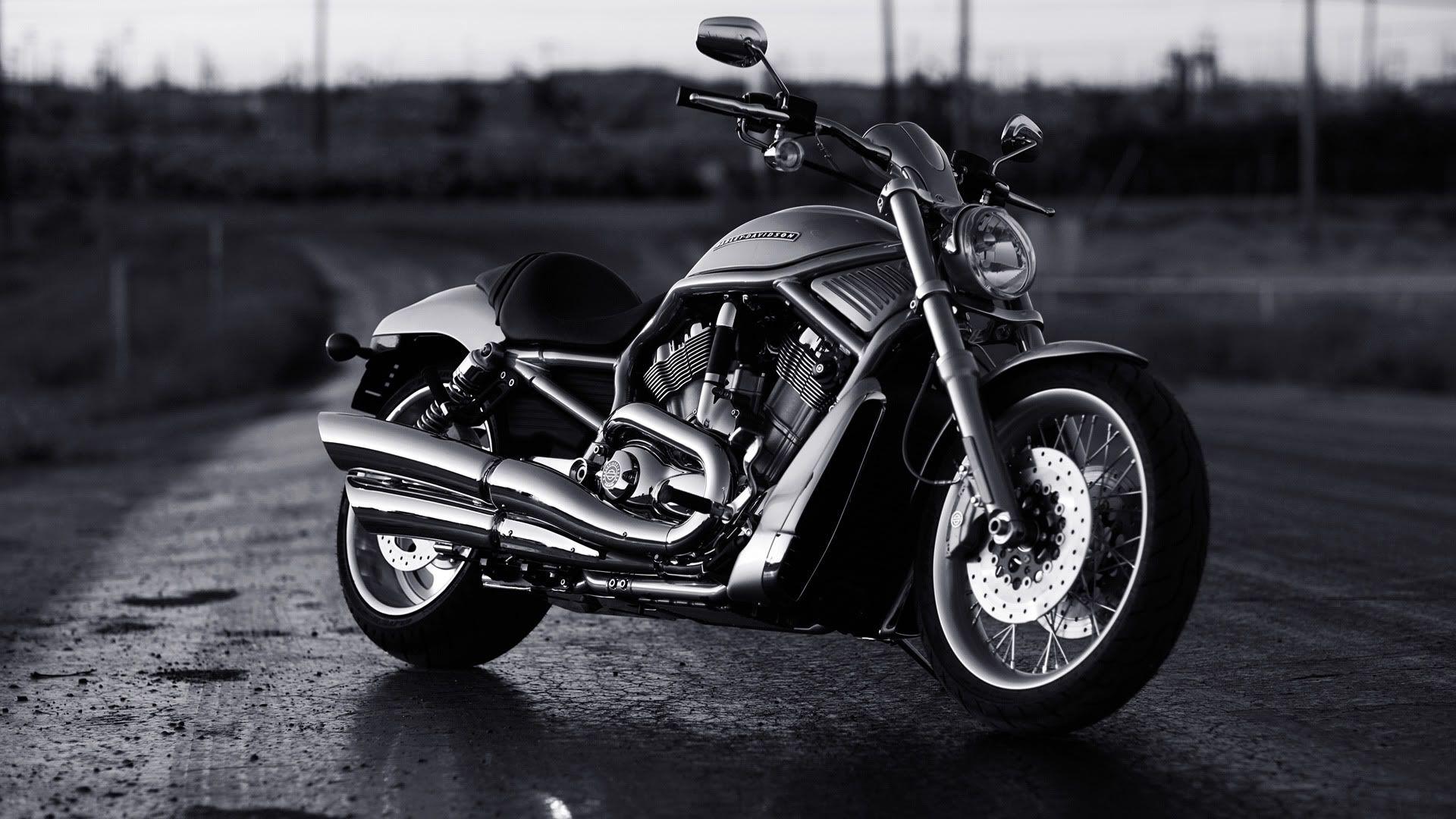 Wallpaper For > Harley Davidson V Rod Wallpaper HD