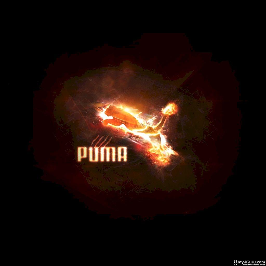 Puma Logo Wallpaper 4461 HD Wallpaper in Logos