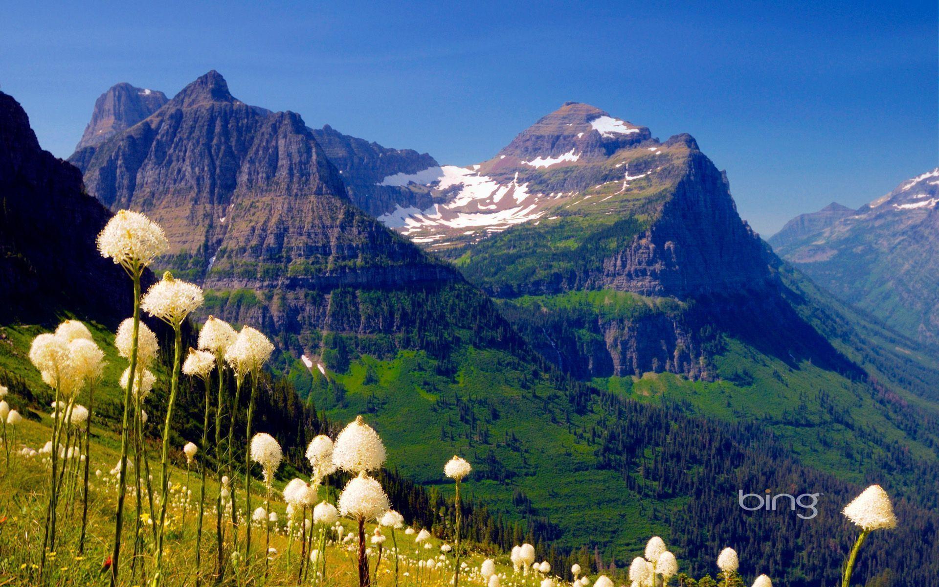 How to Set Bing Backgrounds as Wallpapers on your Desktop