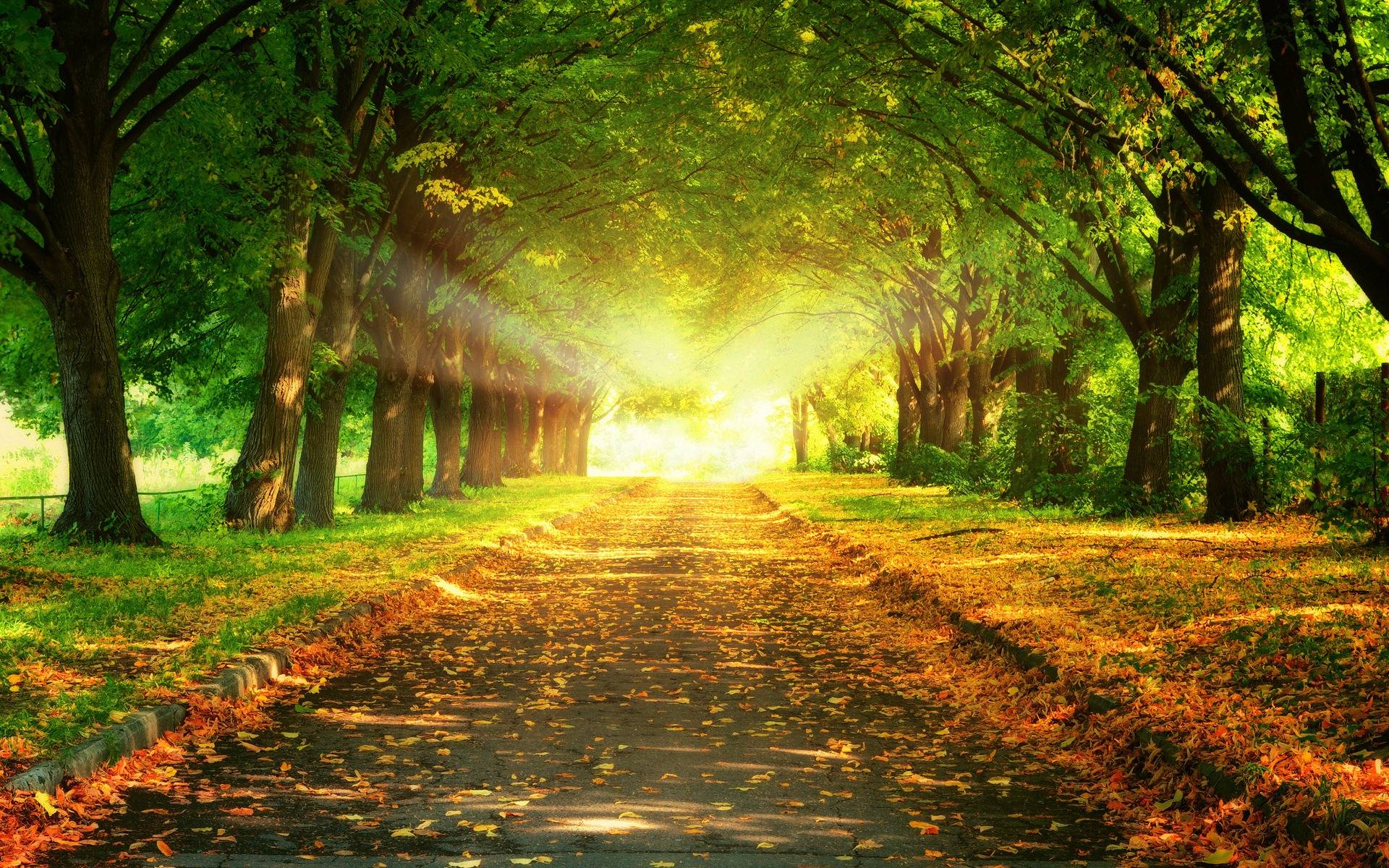 Nature Pictures For Desktop Backgrounds Wallpaper Cave Nature Pictures For Desktop Backgrounds Wallpaper Cave
